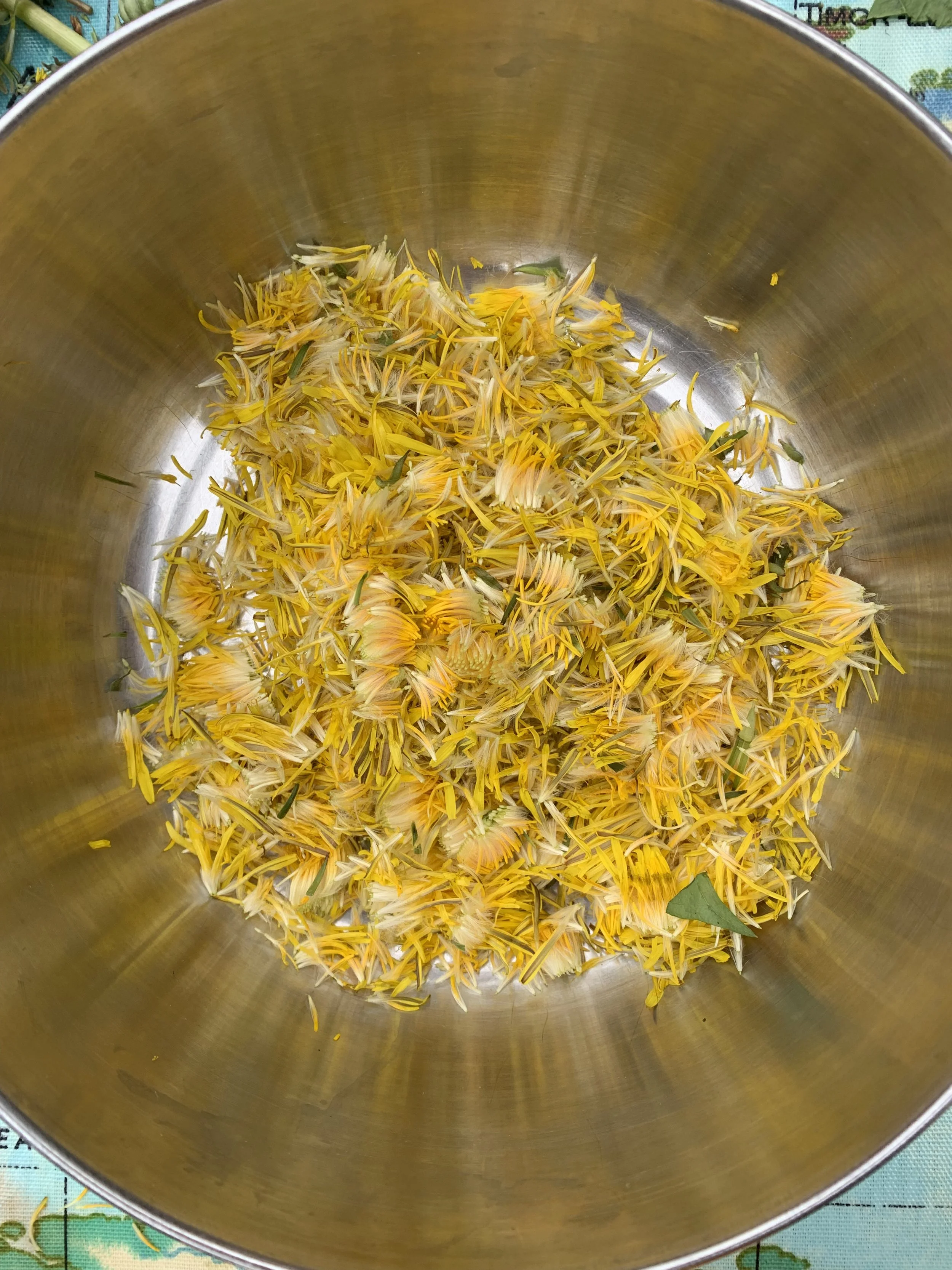champagne brewing workshop, Photography by Sylvia Rimat
