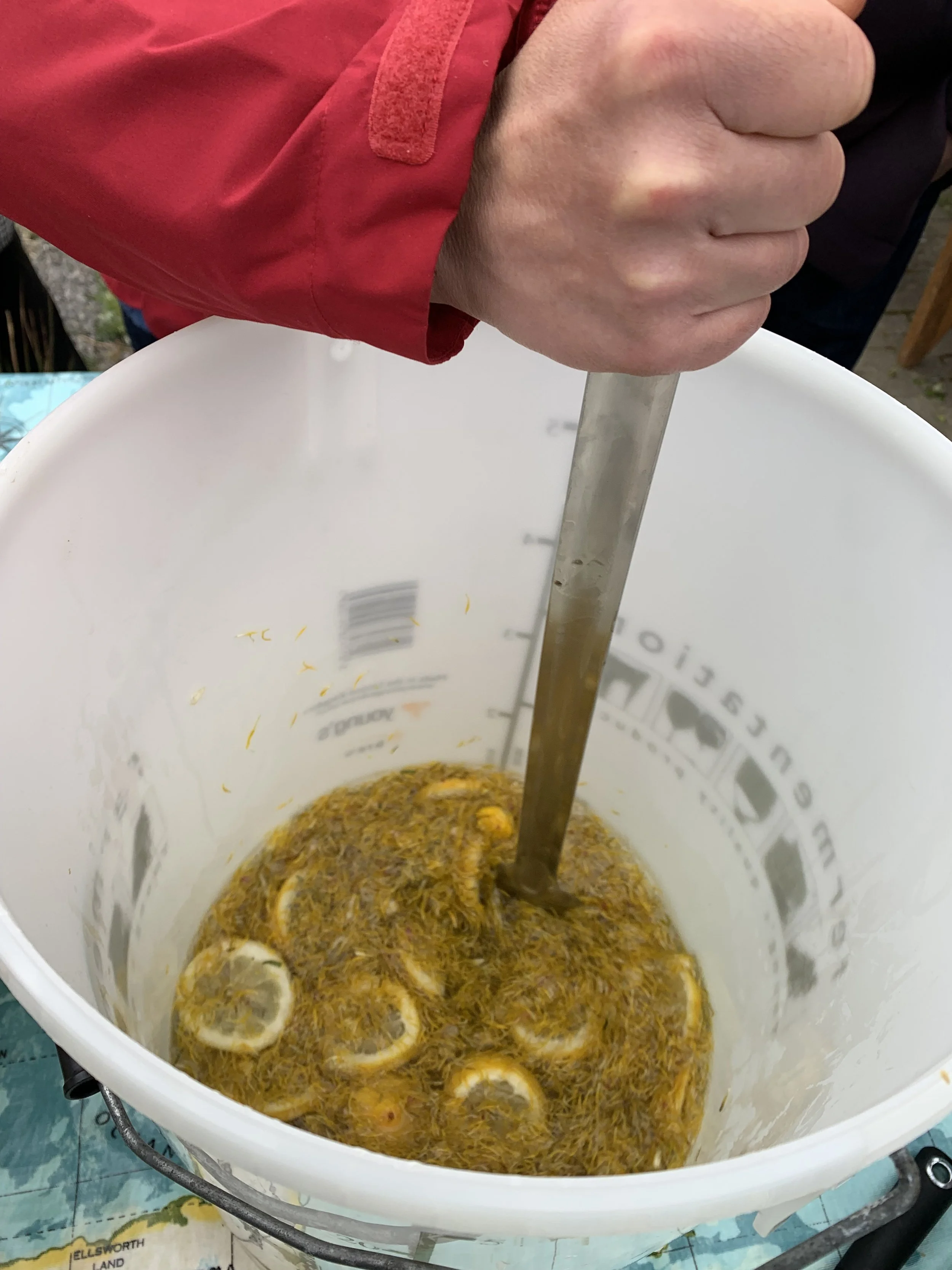 champagne brewing workshop, Photography by Sylvia Rimat