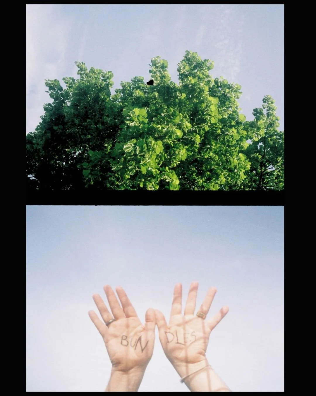 Hand and Tree Bundles (insta).jpg