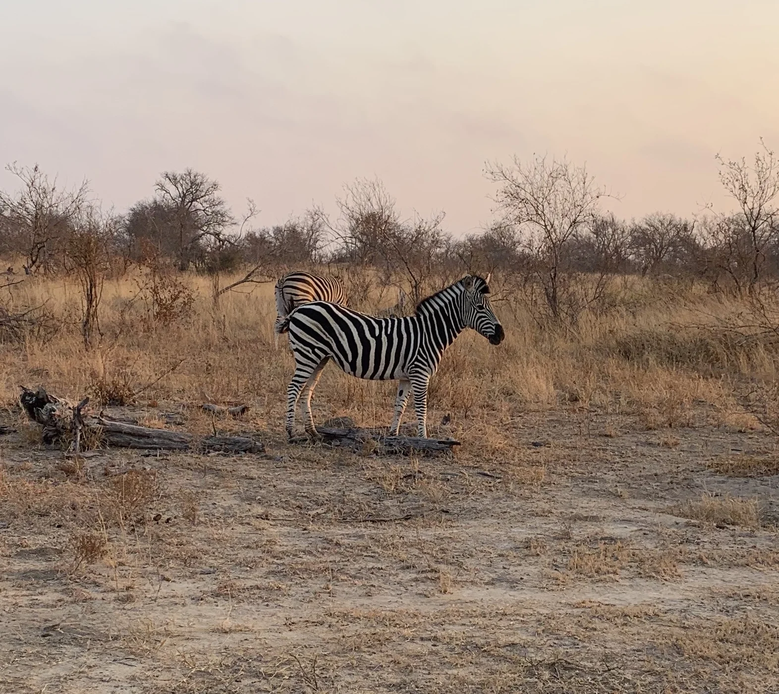      

 
   When we first announced our travel plans to my parents, they started brainstorming where they could meet up with us. They threw out ideas like Ireland and Italy, but we thought they could go bigger so we said, why don’t you join us for sa