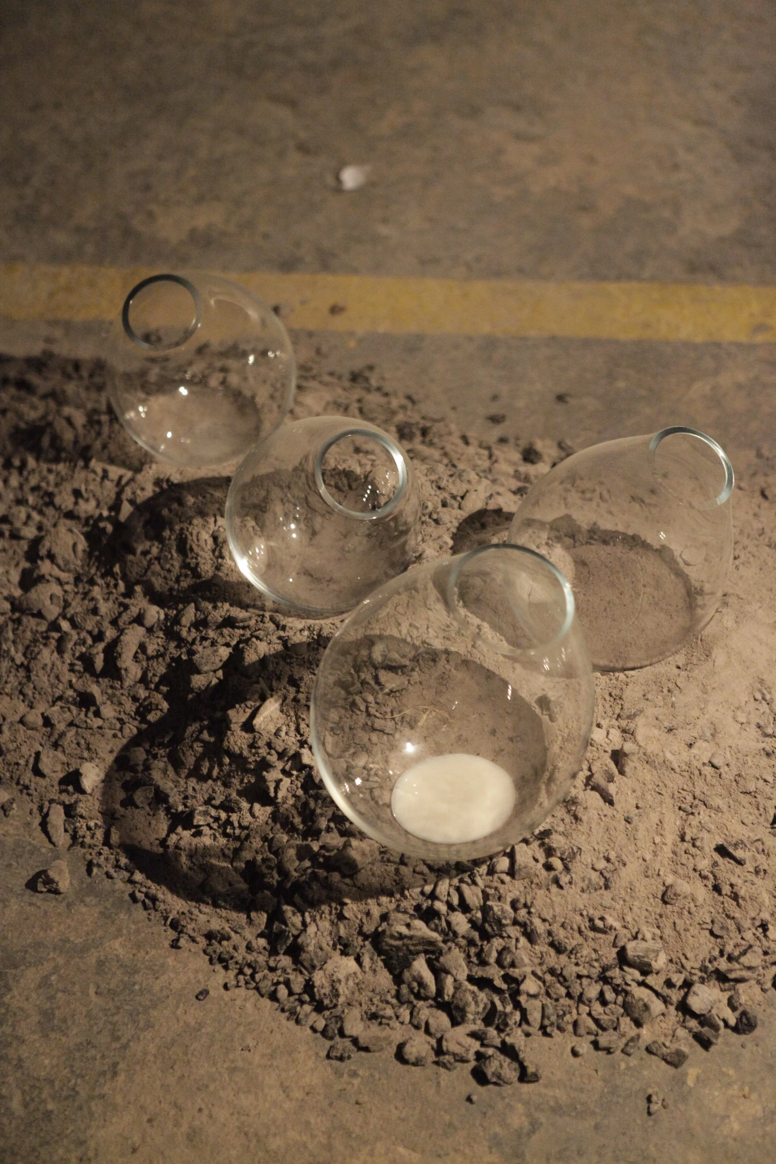 Exhibition // Jean-François Krebs - Leite Ruim