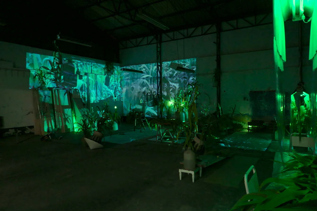 Private Viewing // Installation and Performance