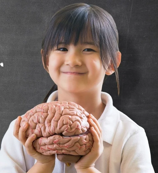 Girl+holding+brain.jpg