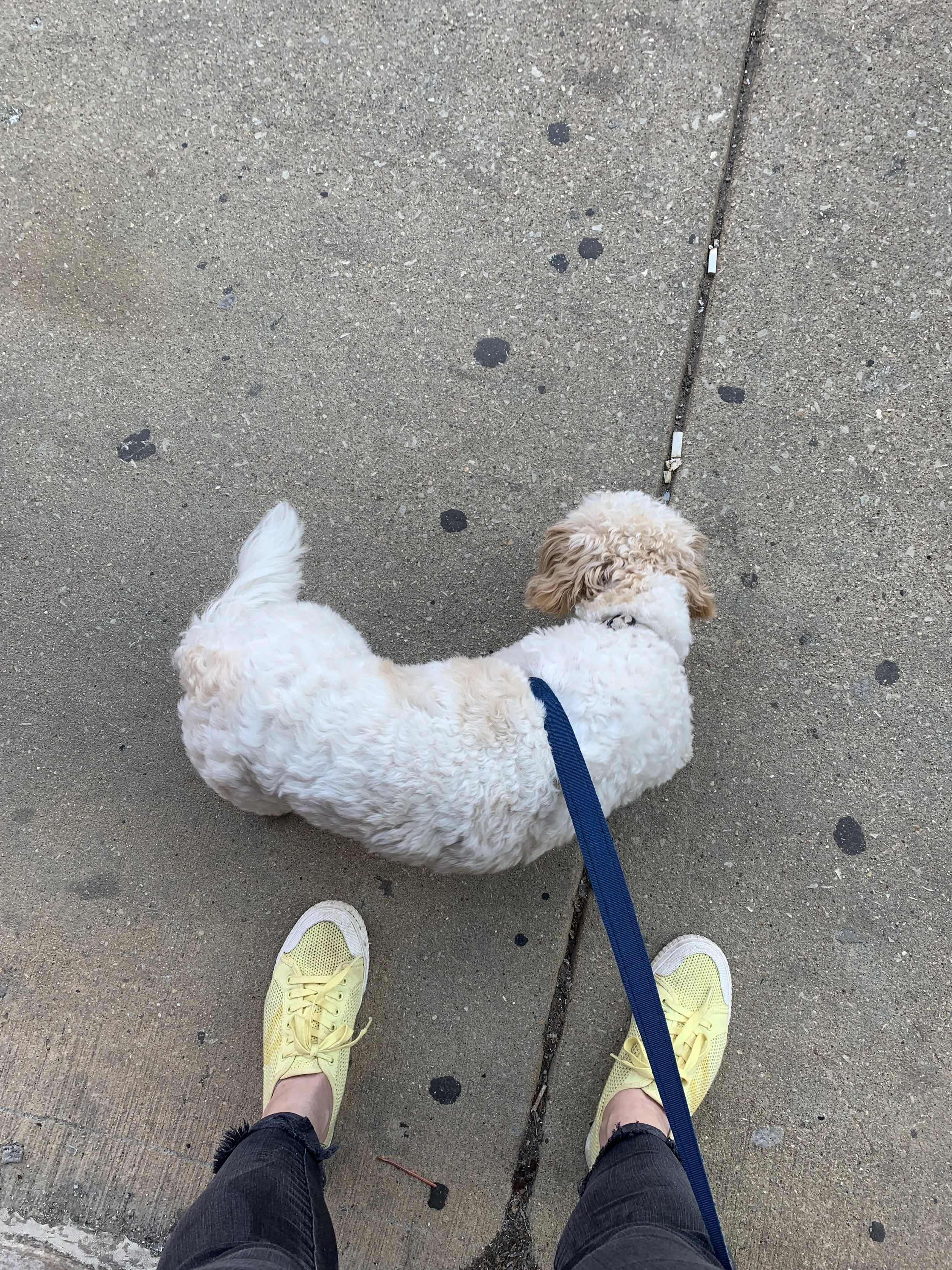 My Mental Breakdown Over Nothing.