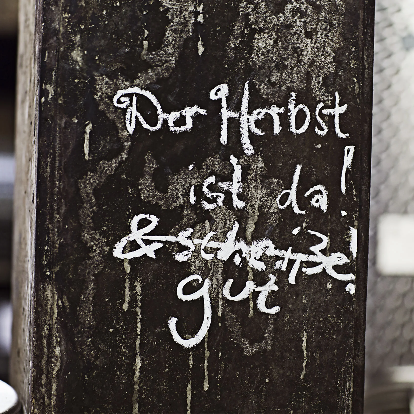 Weinlese, Mosel, Weingut Franzen