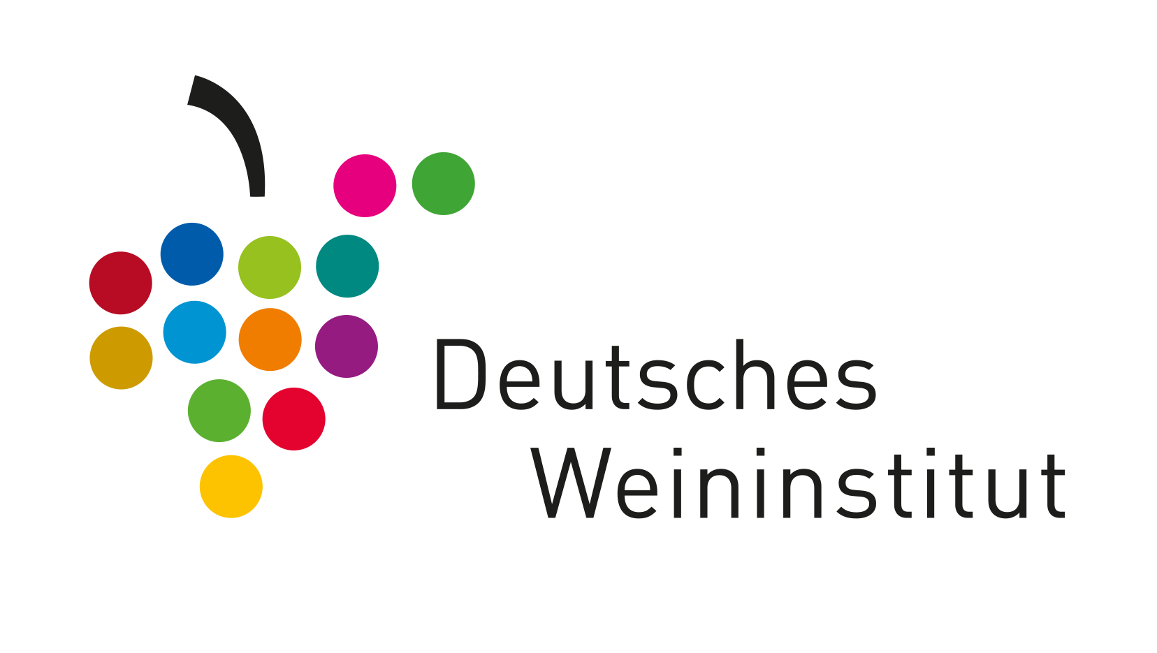 Markus Bassler, Weinfotograf beim Deutschen Weininstitut
