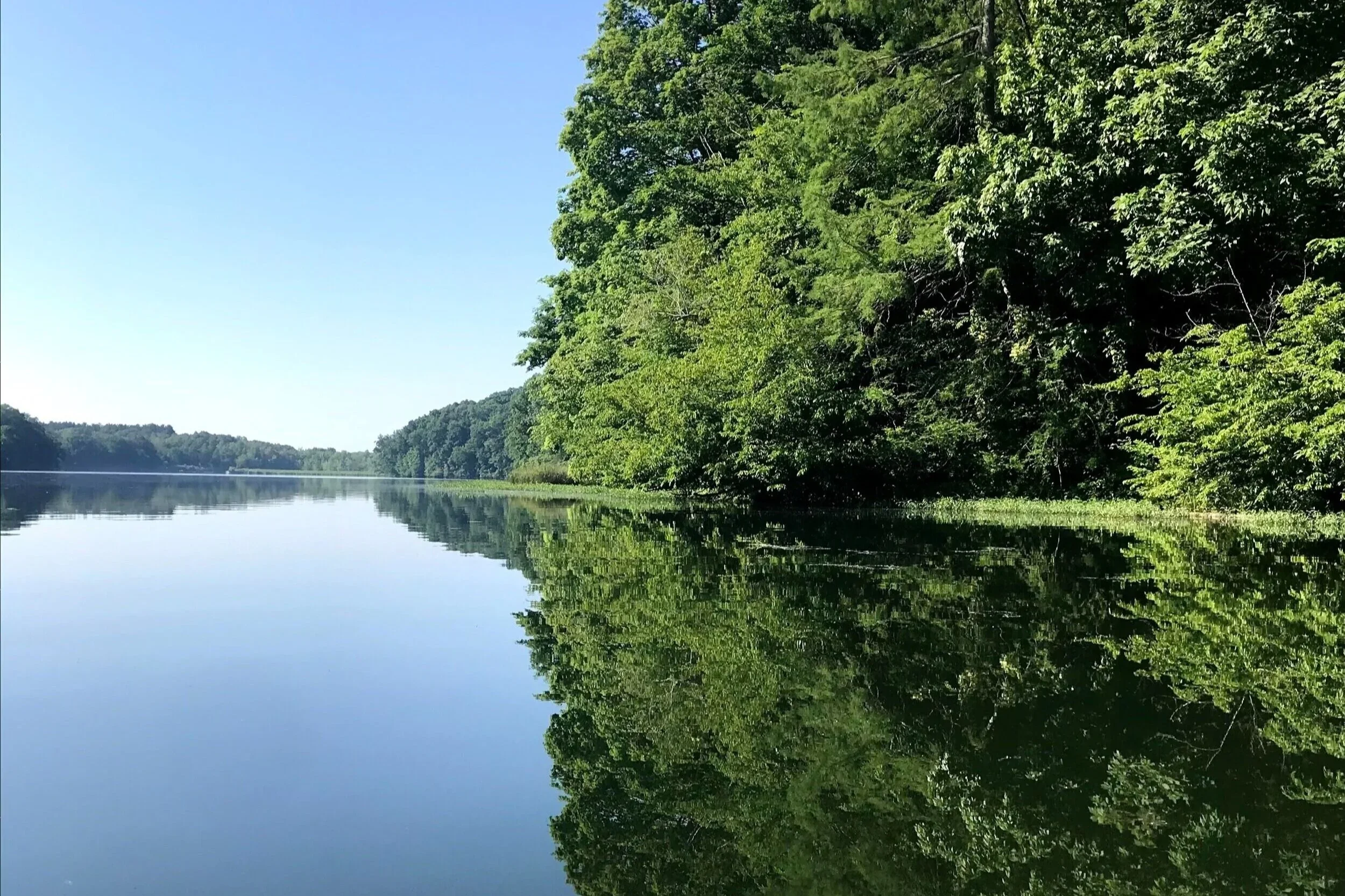 Yellowwood Lake surrounded by trees