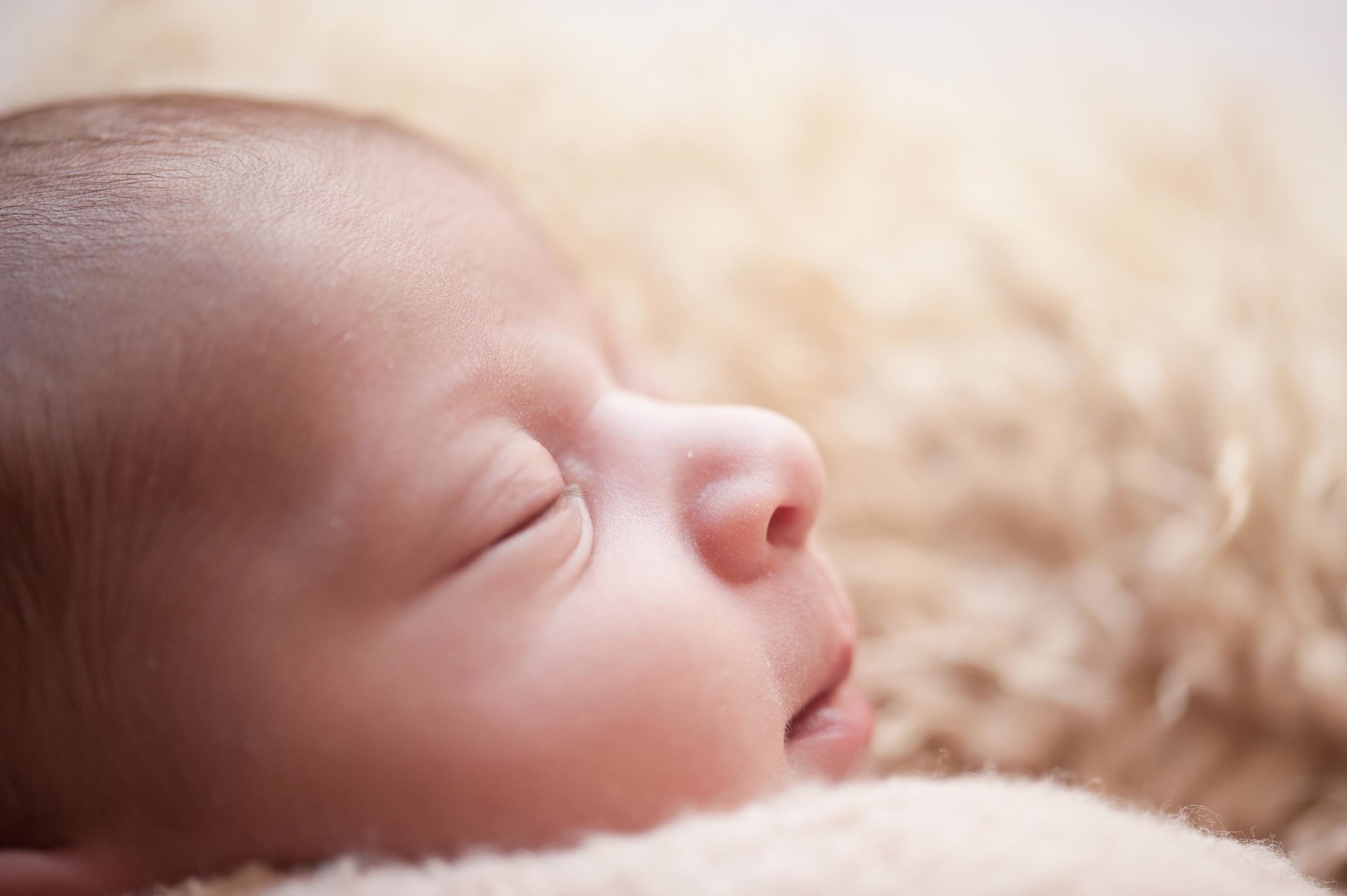 newborn-portrait-photography-02.jpg