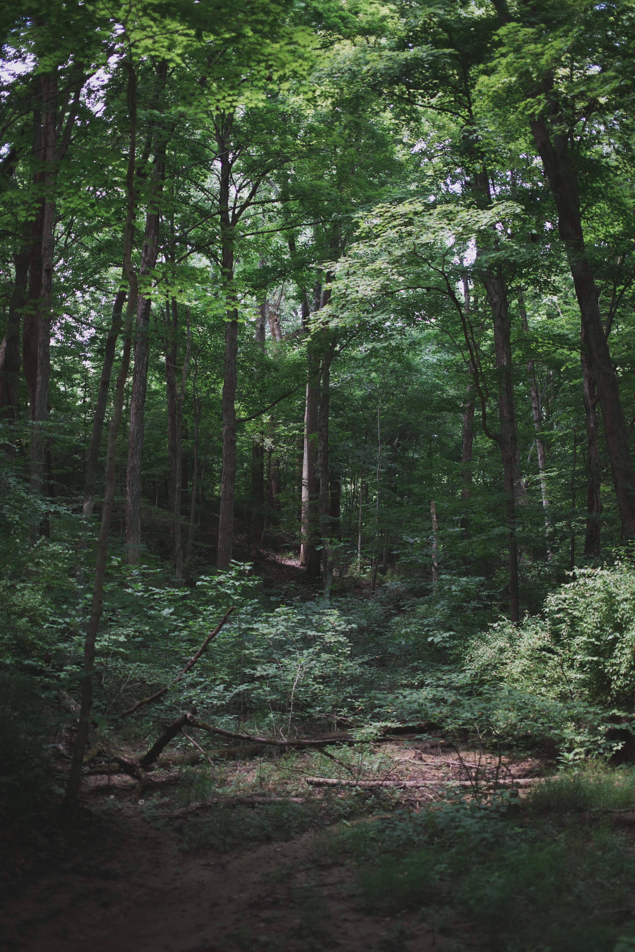 This image is provided by Unsplash.