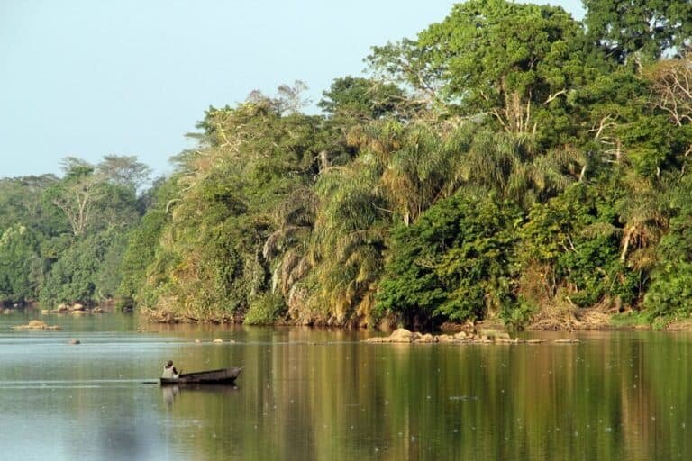 Image from Kumakonda.