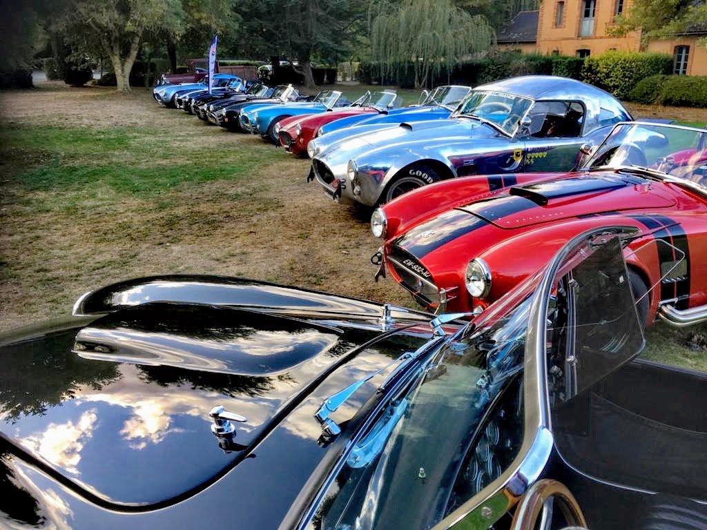 Cobra car club France .jpg