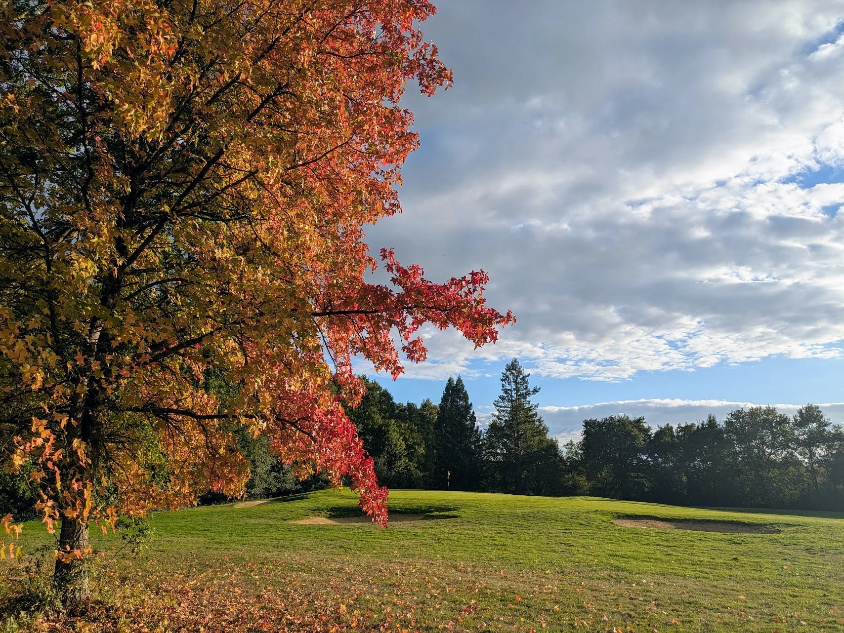 T4 automne Anjou Golf 2026.jpg
