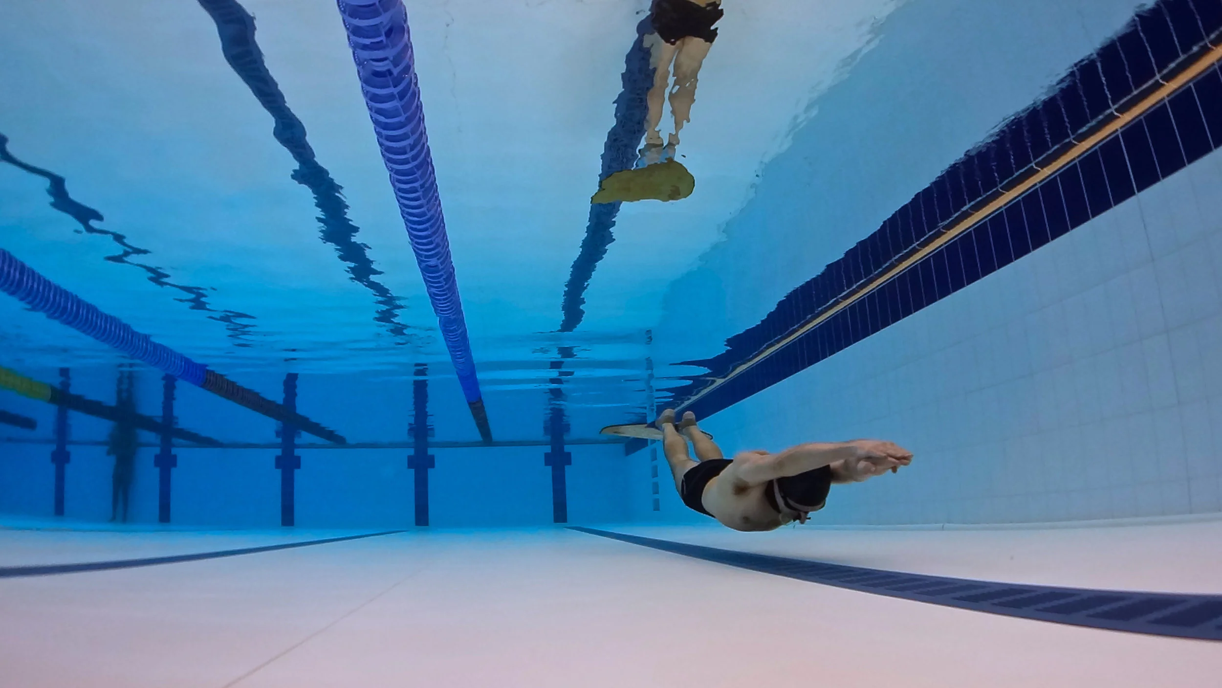 Single Freediver with a Monofin at a NoTanx Club Pool training session.