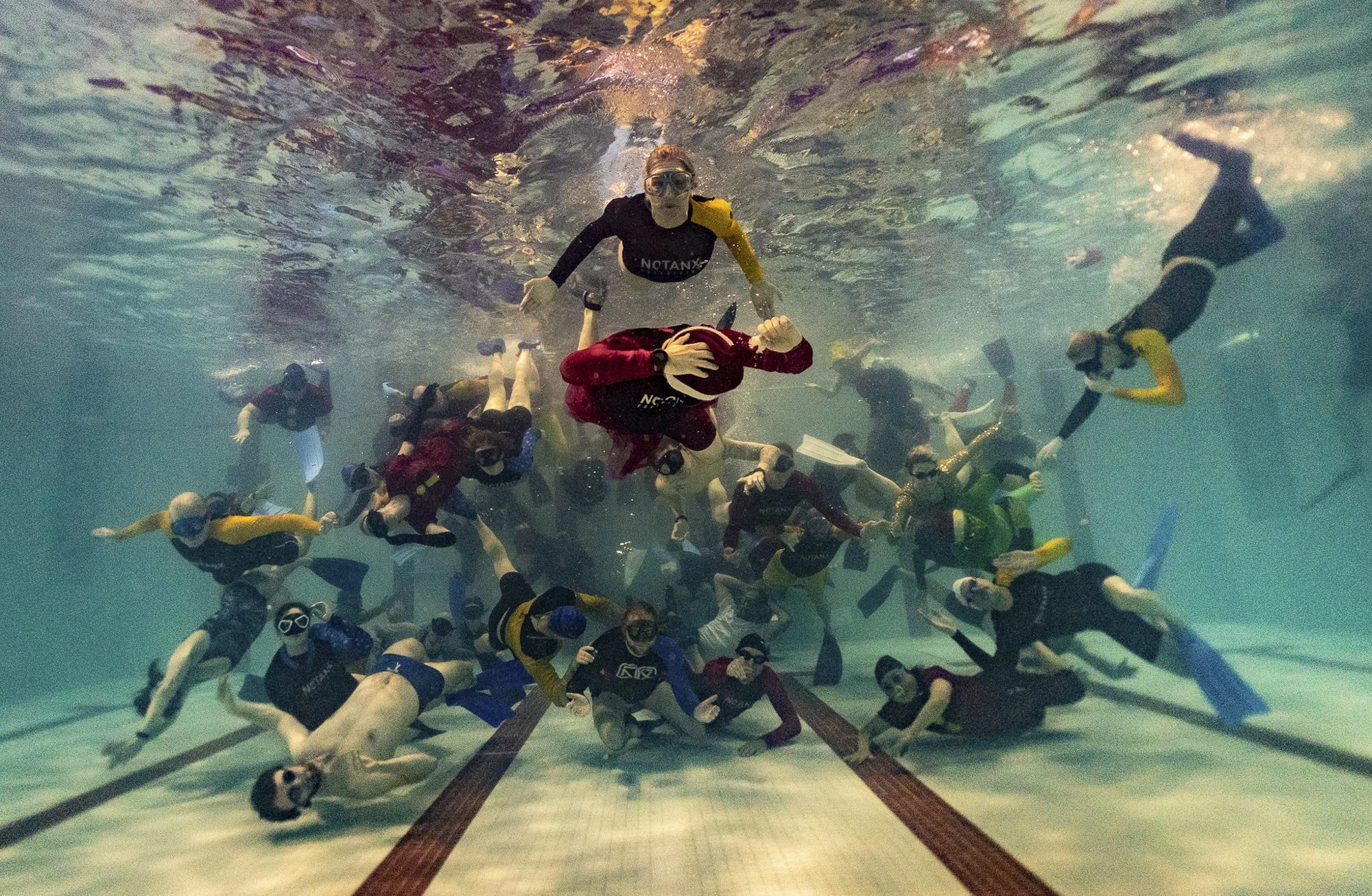 NTX Club members freediving in a pool