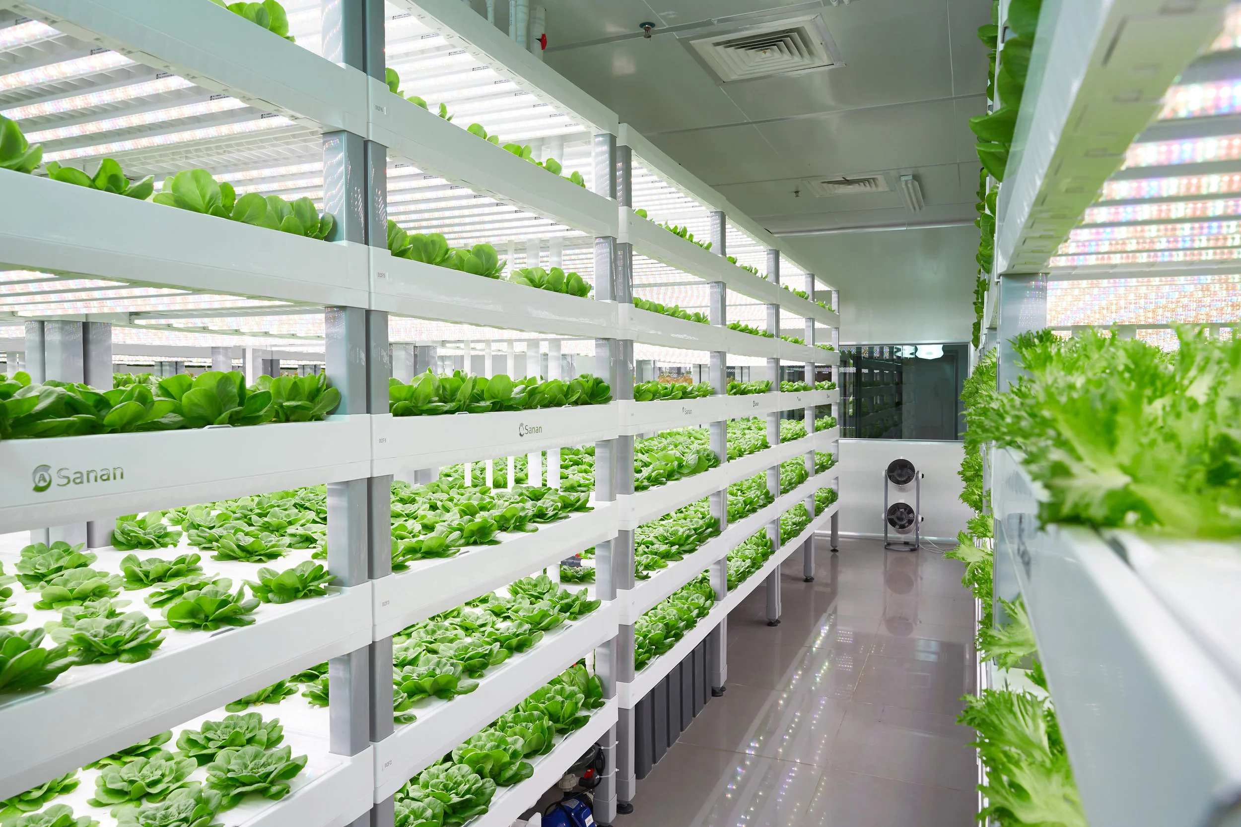 Vertical Farm design and layout is critical to the success of a indoor vertical farm.