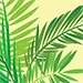 75Palm.jpg