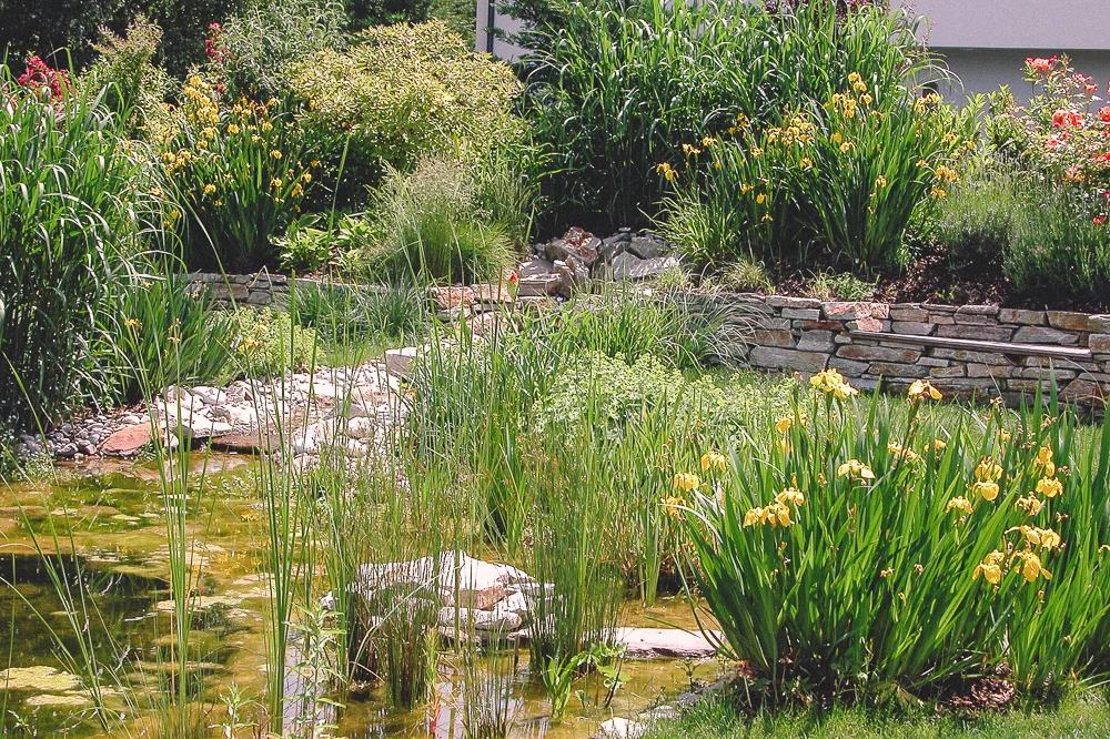 Wasser im Garten.jpg