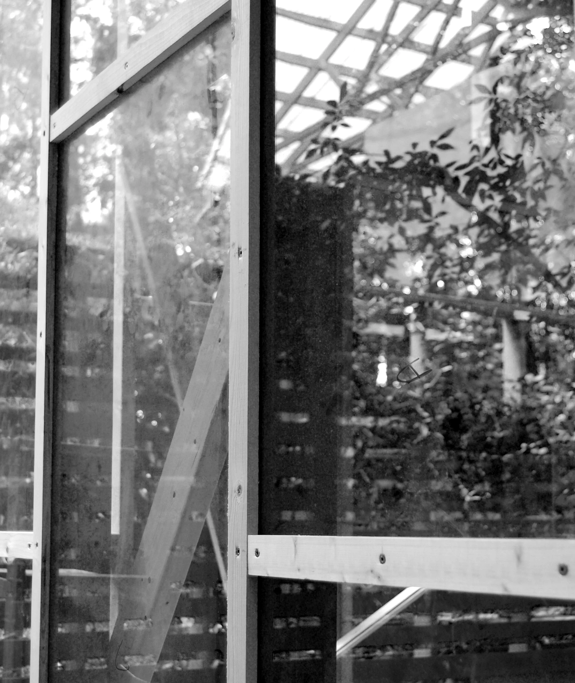 glassdetail.jpg