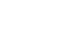 Denis Frison