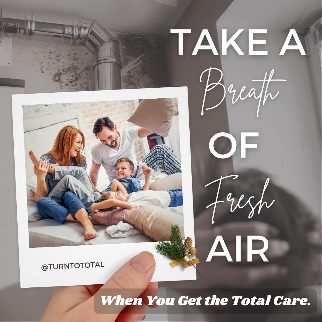 Take a of fresh air-2.png