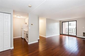 12 Ellery St Family Room.jpeg