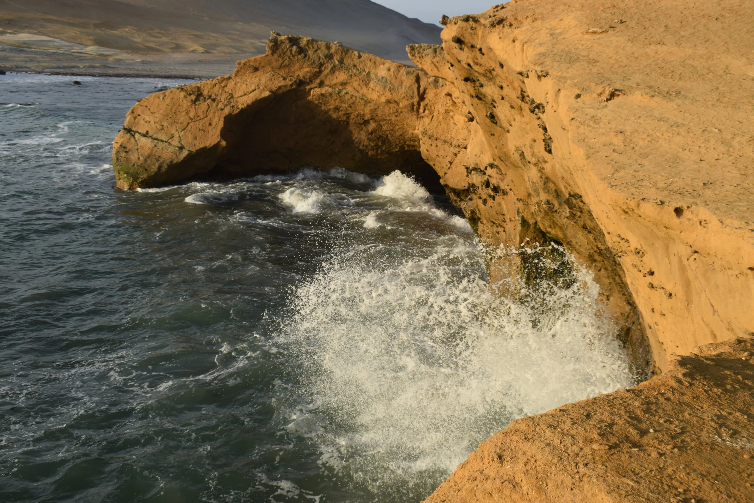 DSC_0525.JPG