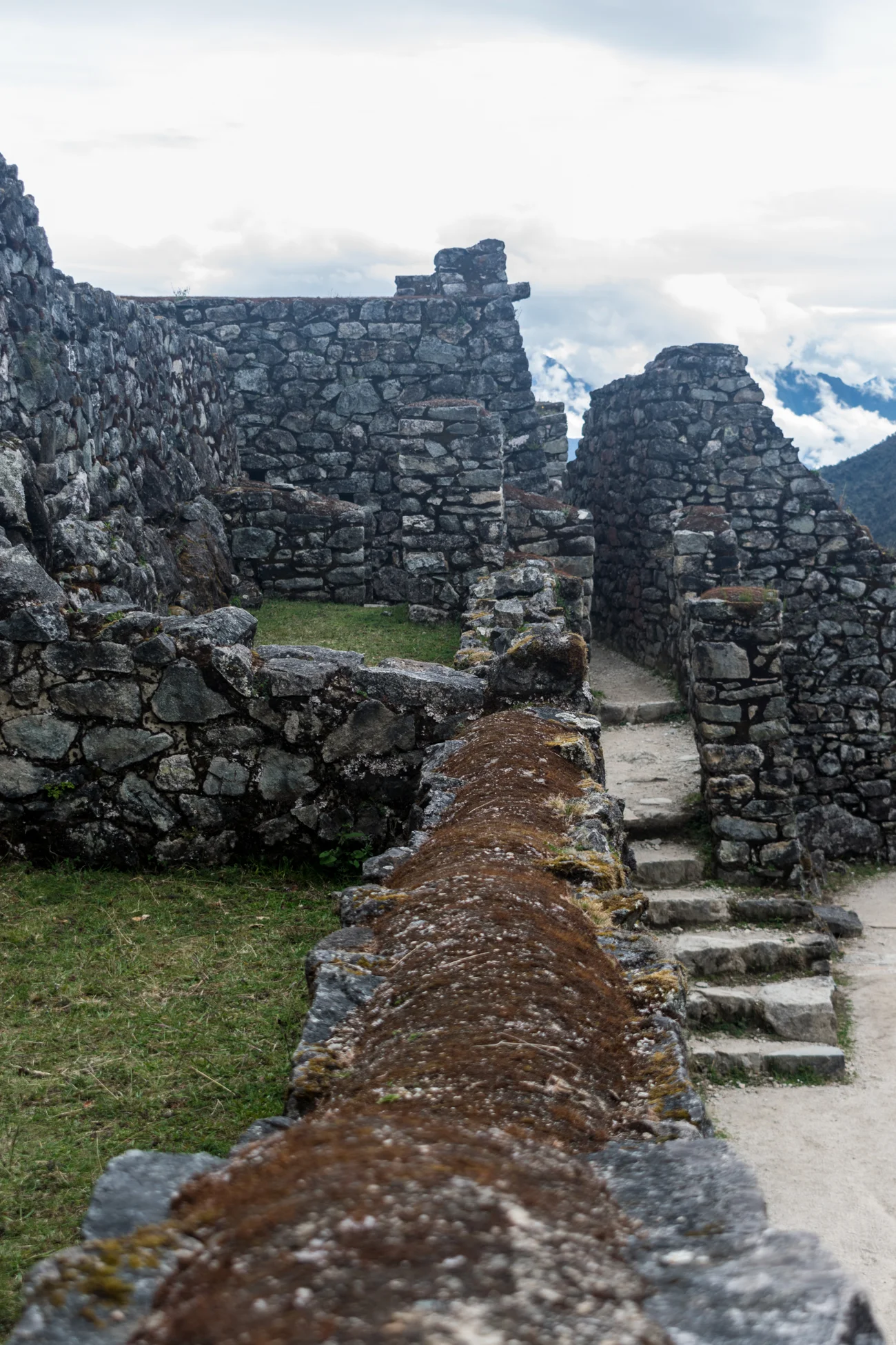 DSC_0156.jpg