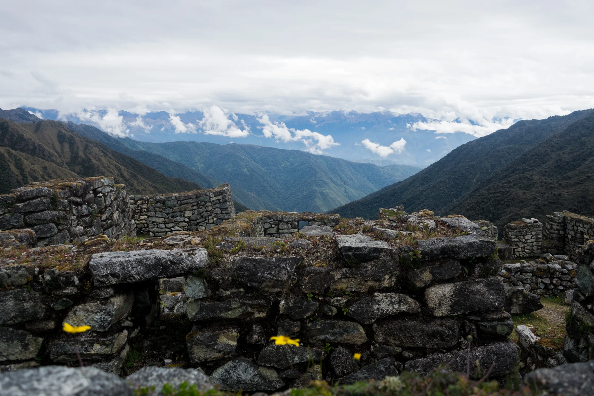 DSC_0163.jpg