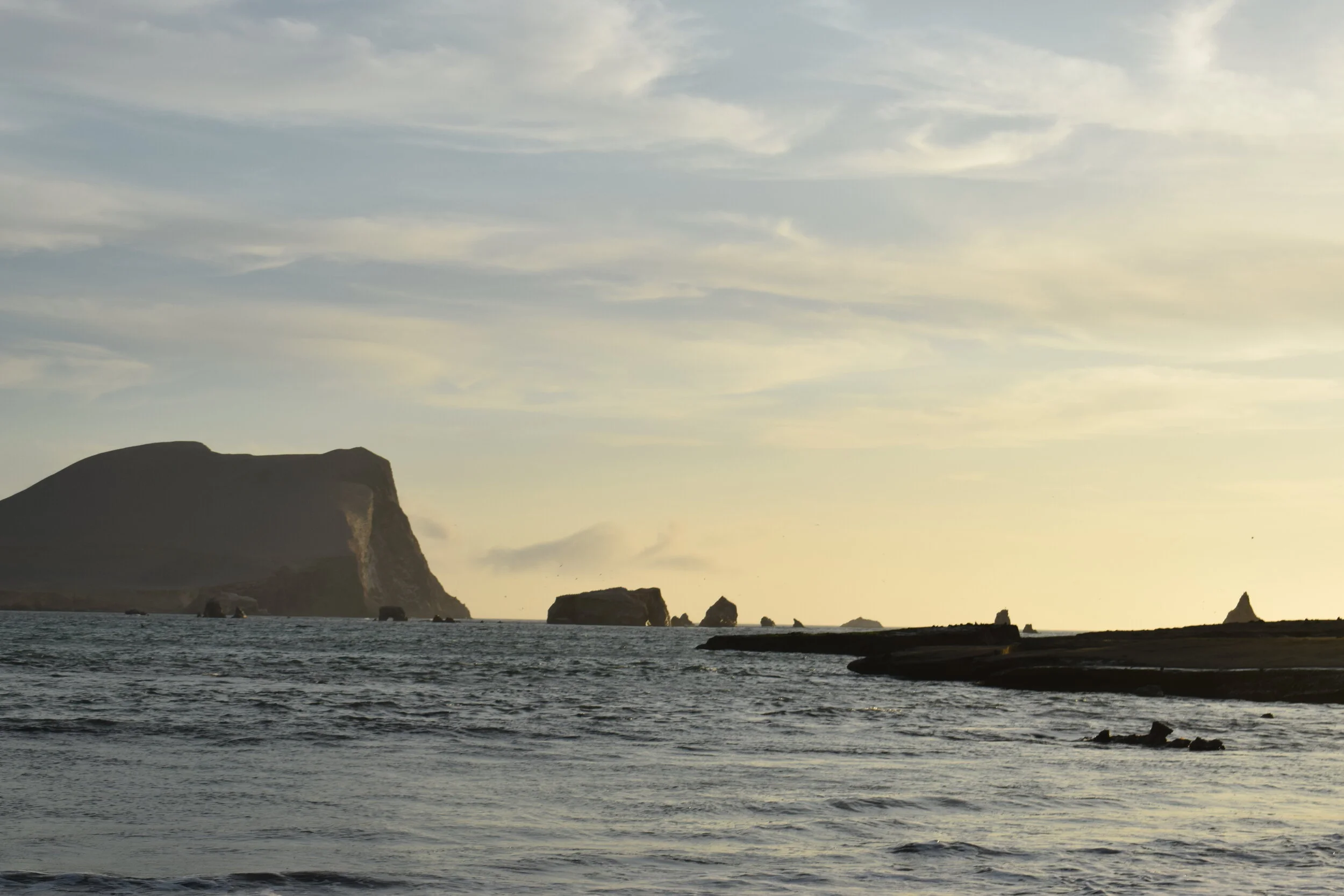 Reserva de Paracas - Ica, Perú