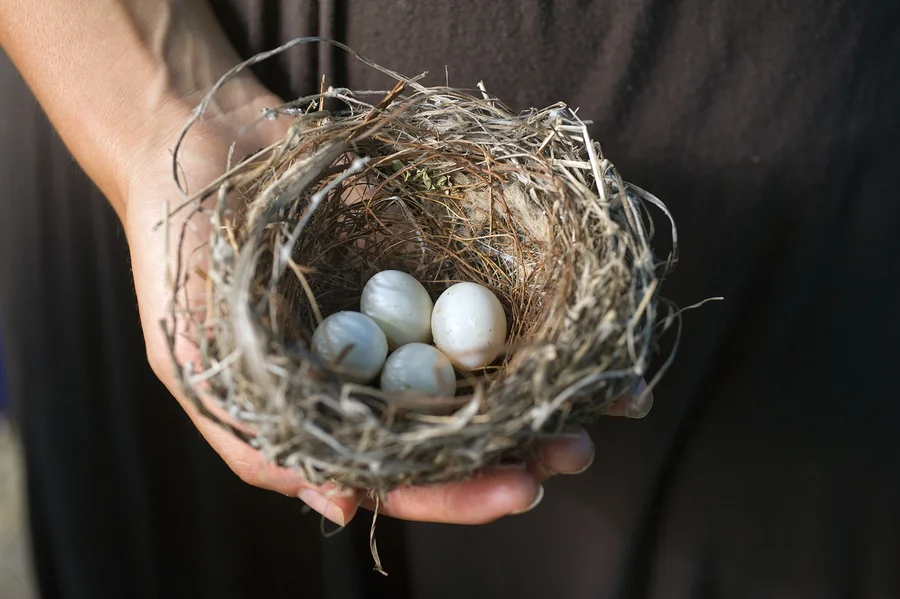 Sparrow Counseling Birmingham, AL Online in Alabama