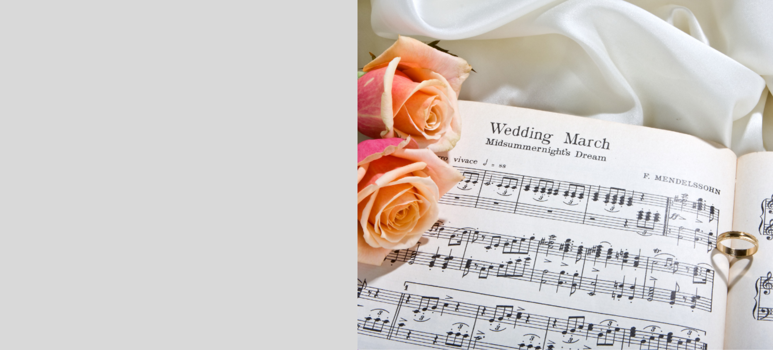 Verlon Banners (2).png