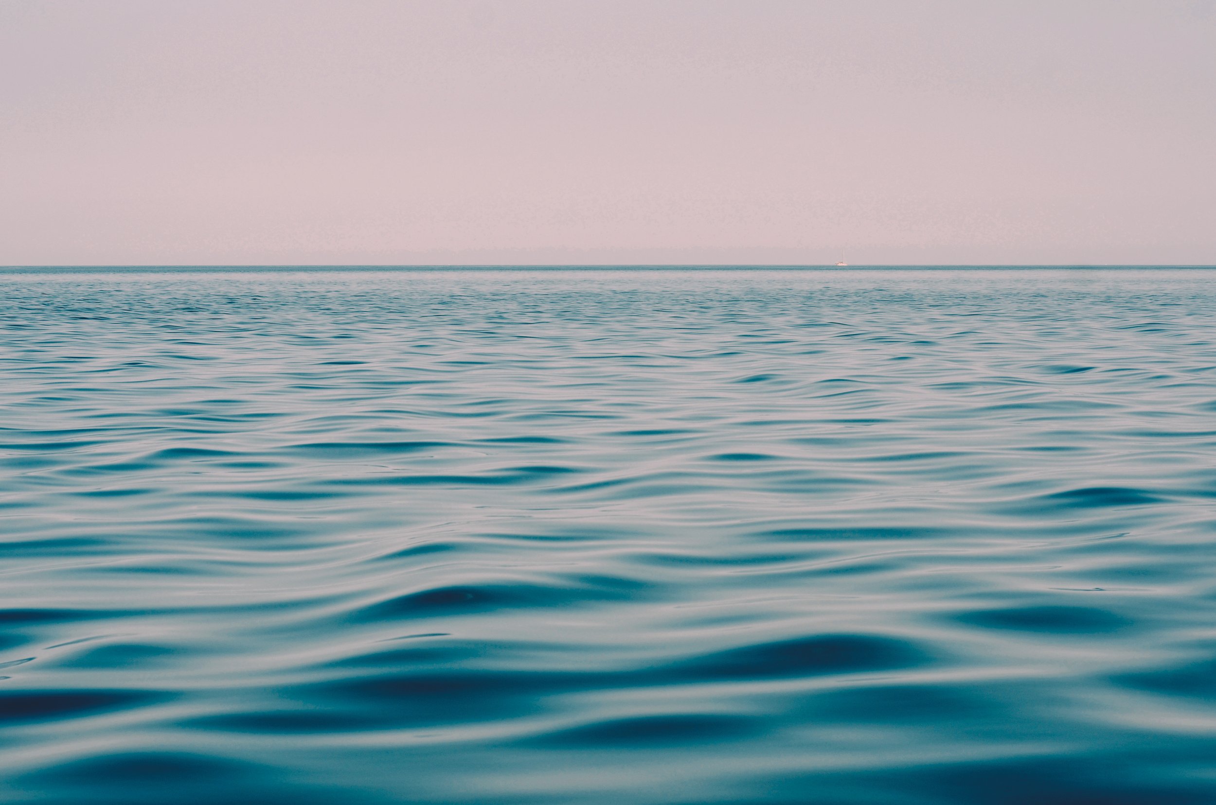 MB1_0594_03_CMYK.jpg