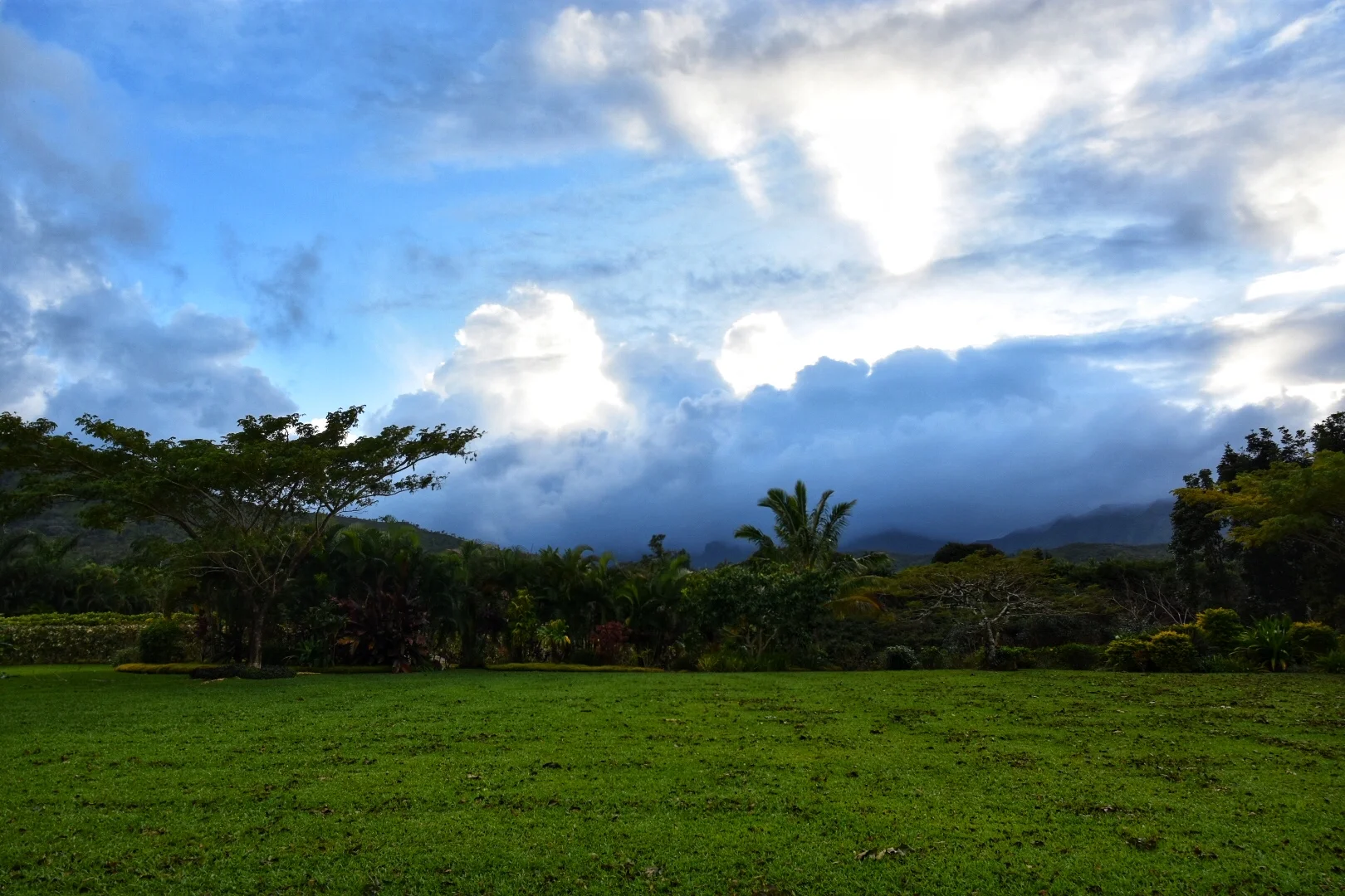DSC_1386.jpg