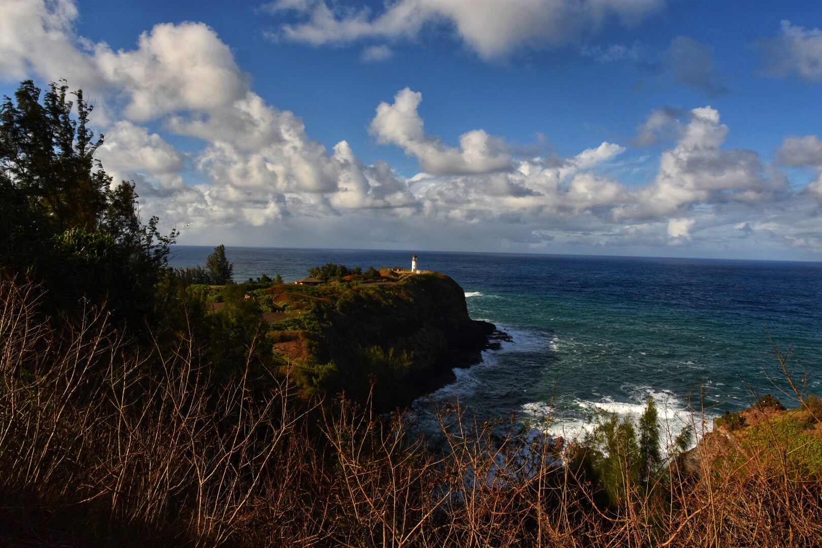 DSC_1369.jpg