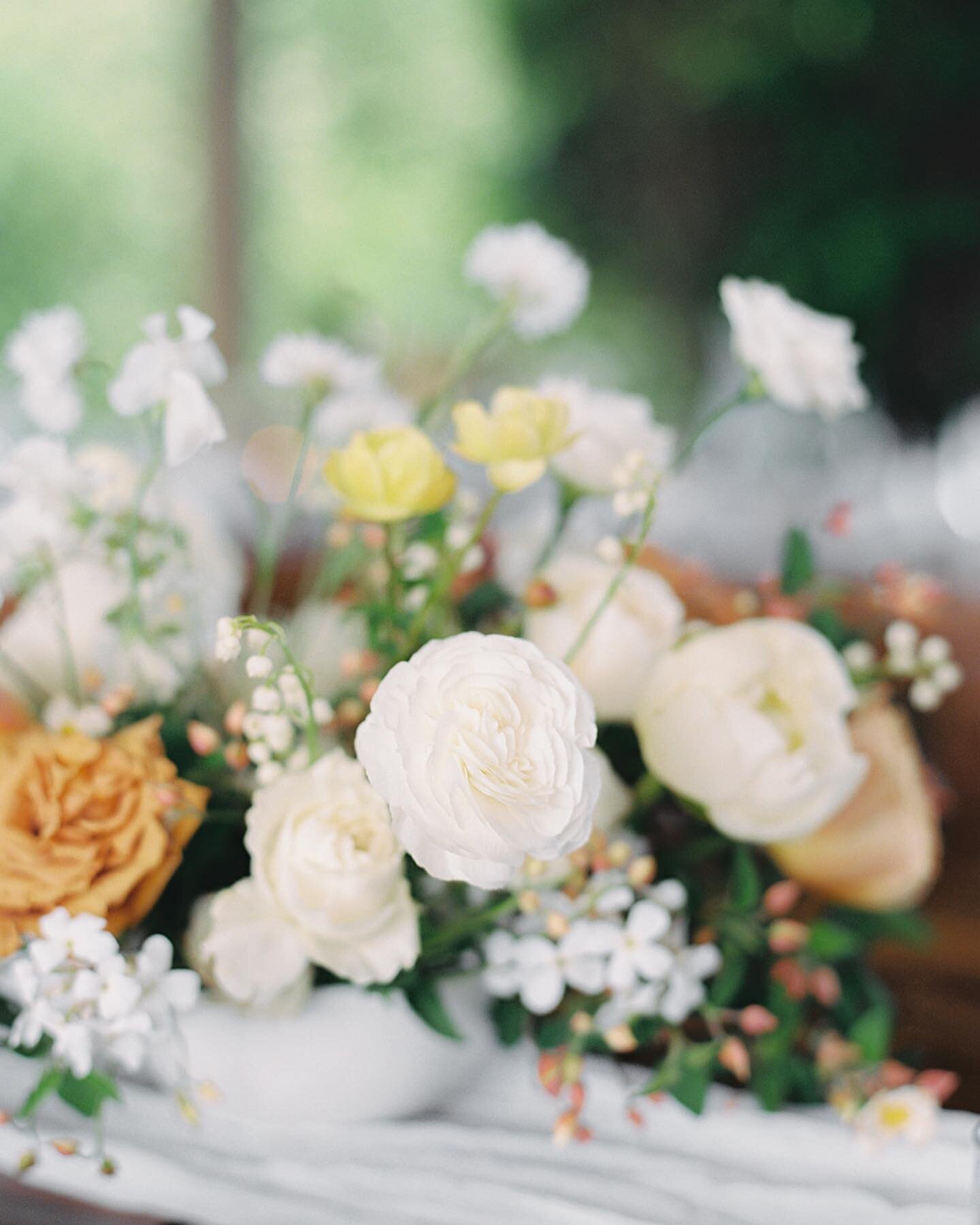 Soft Spring-y bits through the lens of one of my absolute favorite photographers to work with @tetianaphotography 💗 Planning by @pacific_engagements at @santuccifarmevents