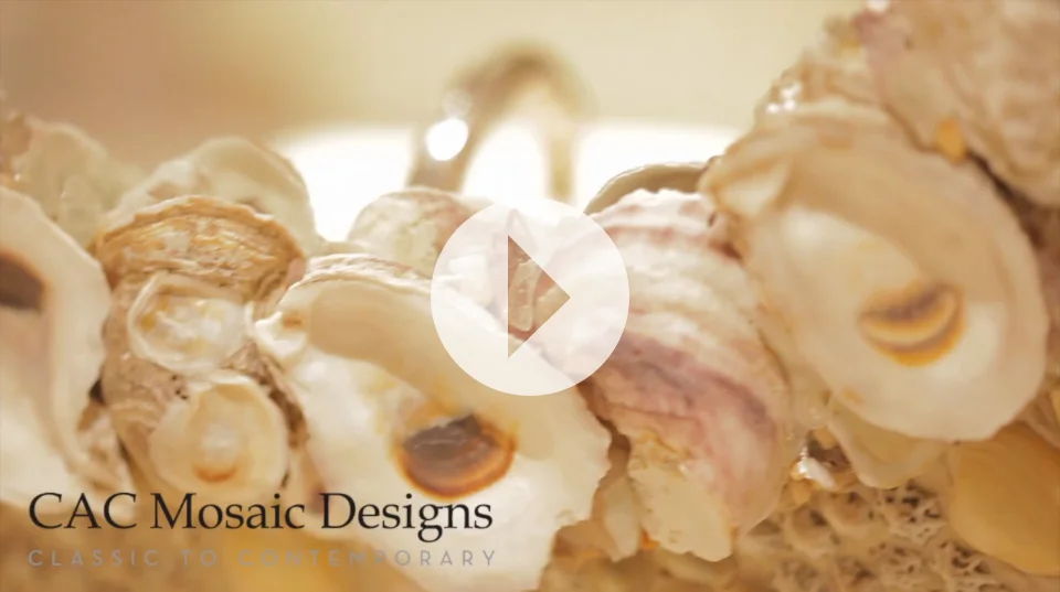 shell-shocker-video.jpg