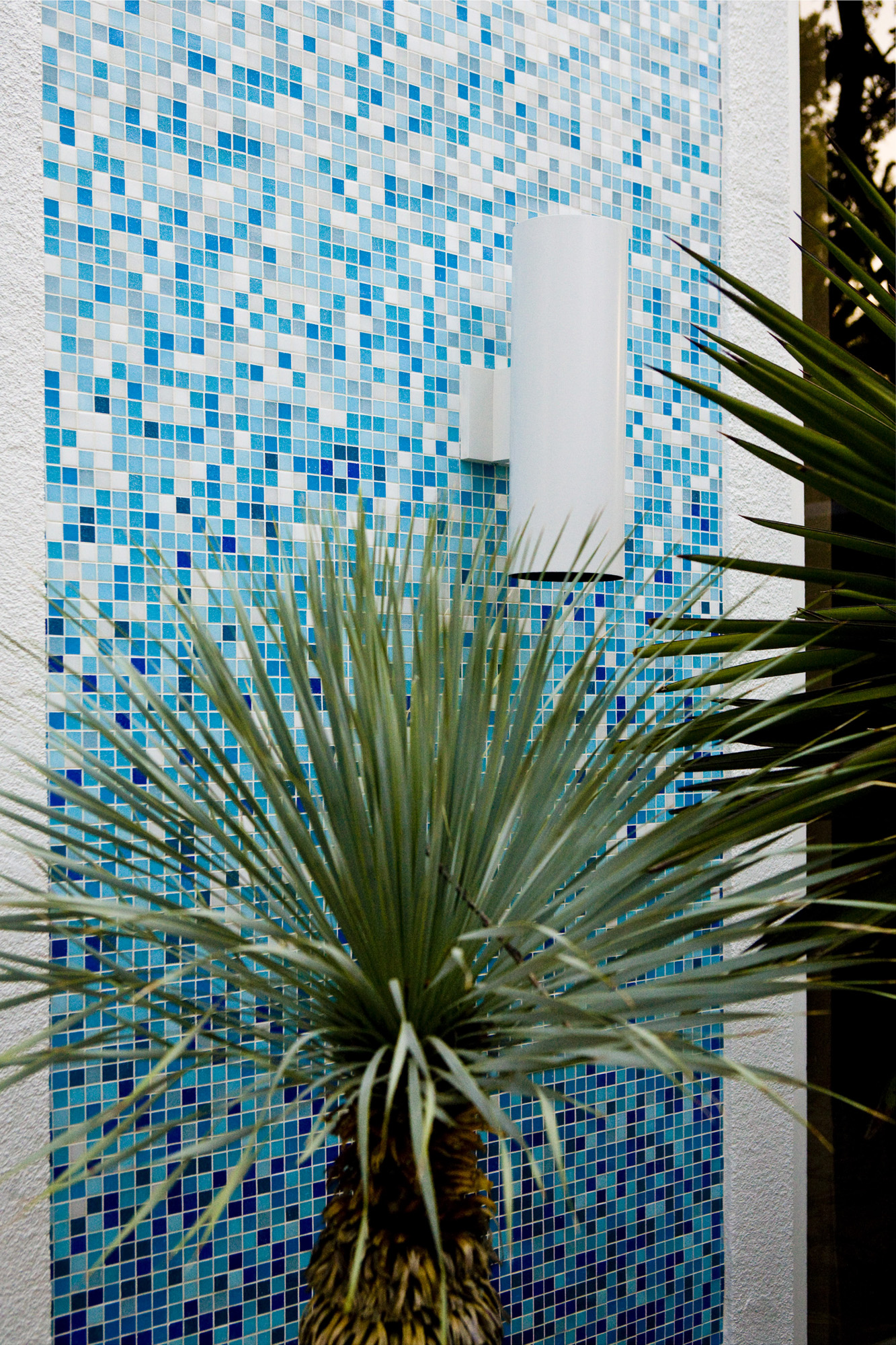 Modern Mosaic Wall _MG_3492.jpg