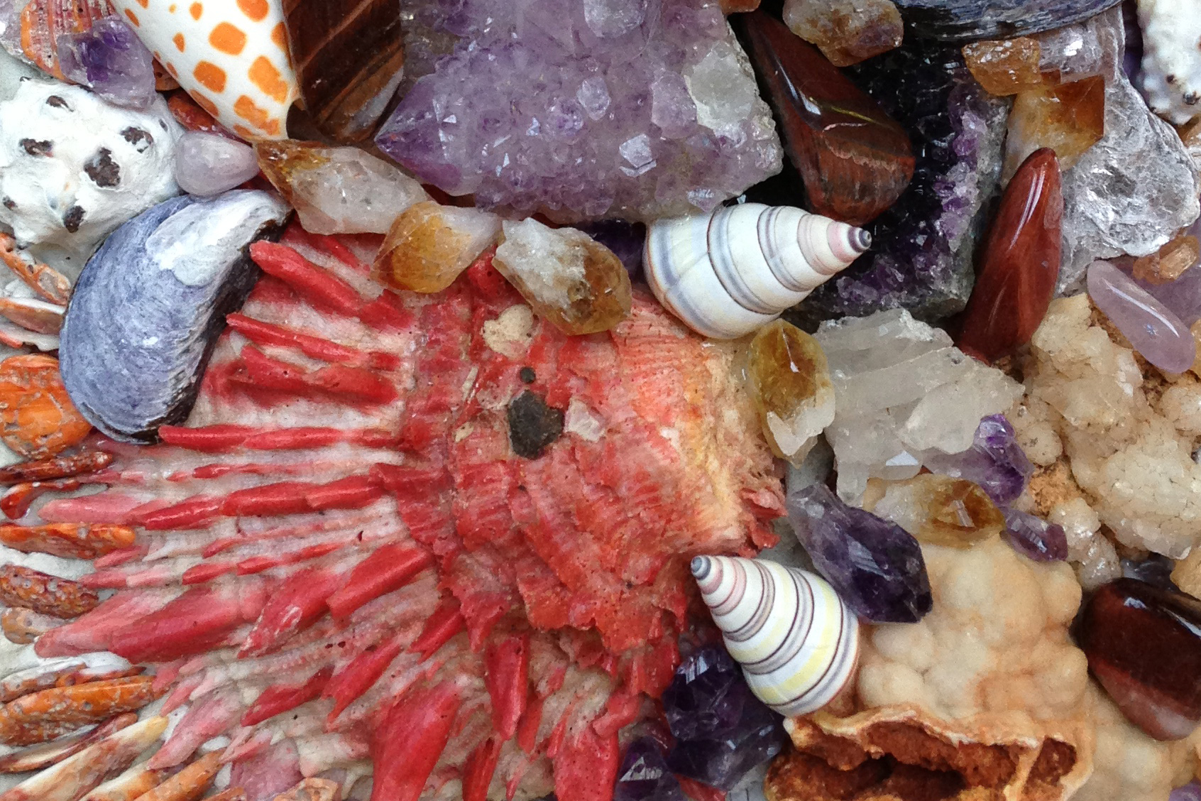 Neptunian-Alchemy-Revisited-3b-Amethyst-and-Coral-3---Detail.JPG