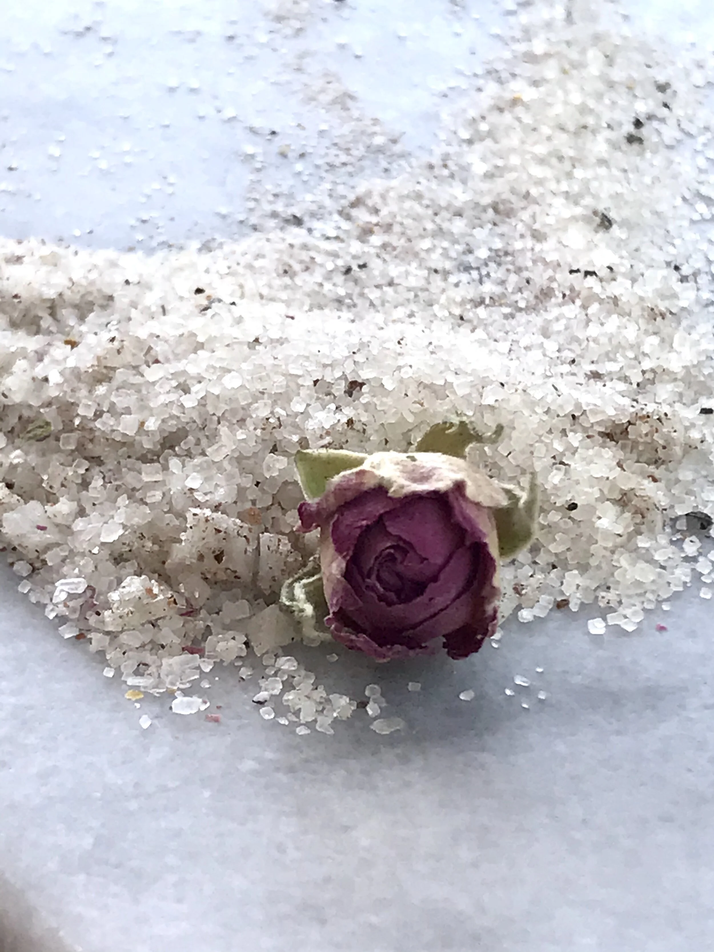 4F9DEEAC-BC46-42DB-8D9E-F05E3D0EE47F