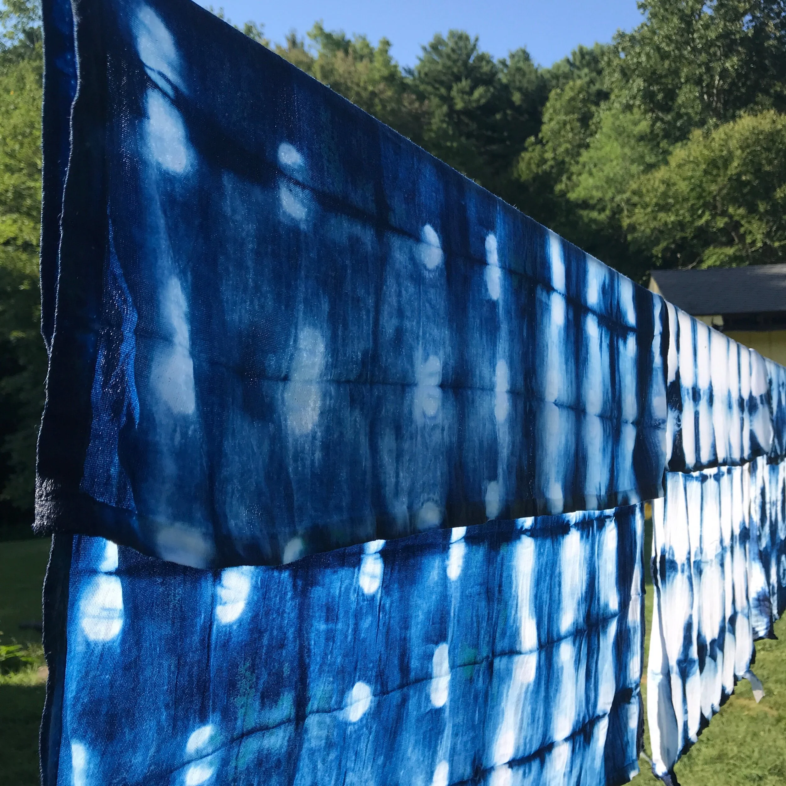 6918491C-129C-406C-A41F-4BFD88BCCF73