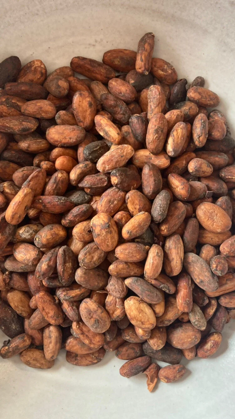 066AF301-C16B-48AC-ADC8-33890FA3AB9E