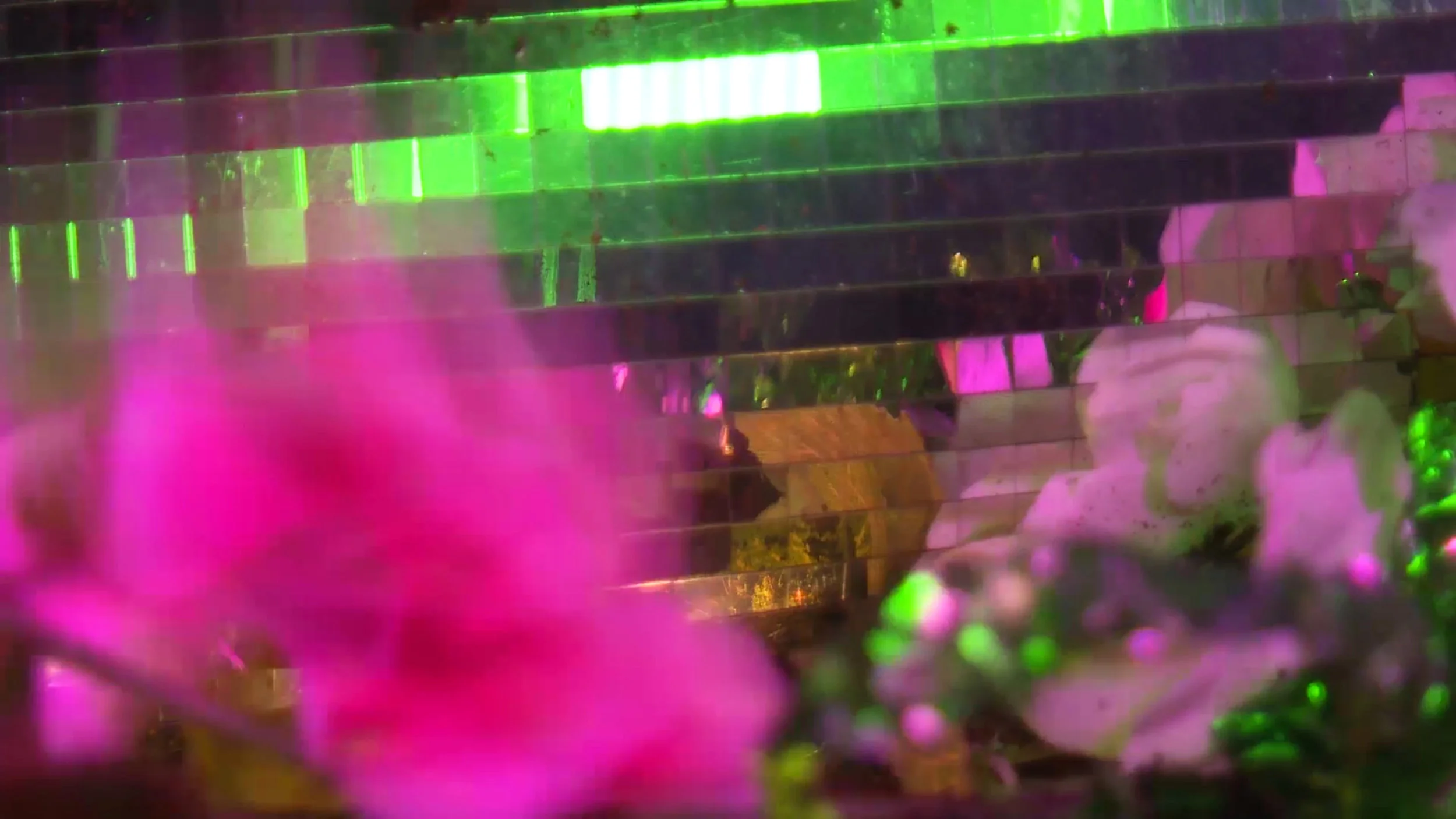 livefilm1still.jpg