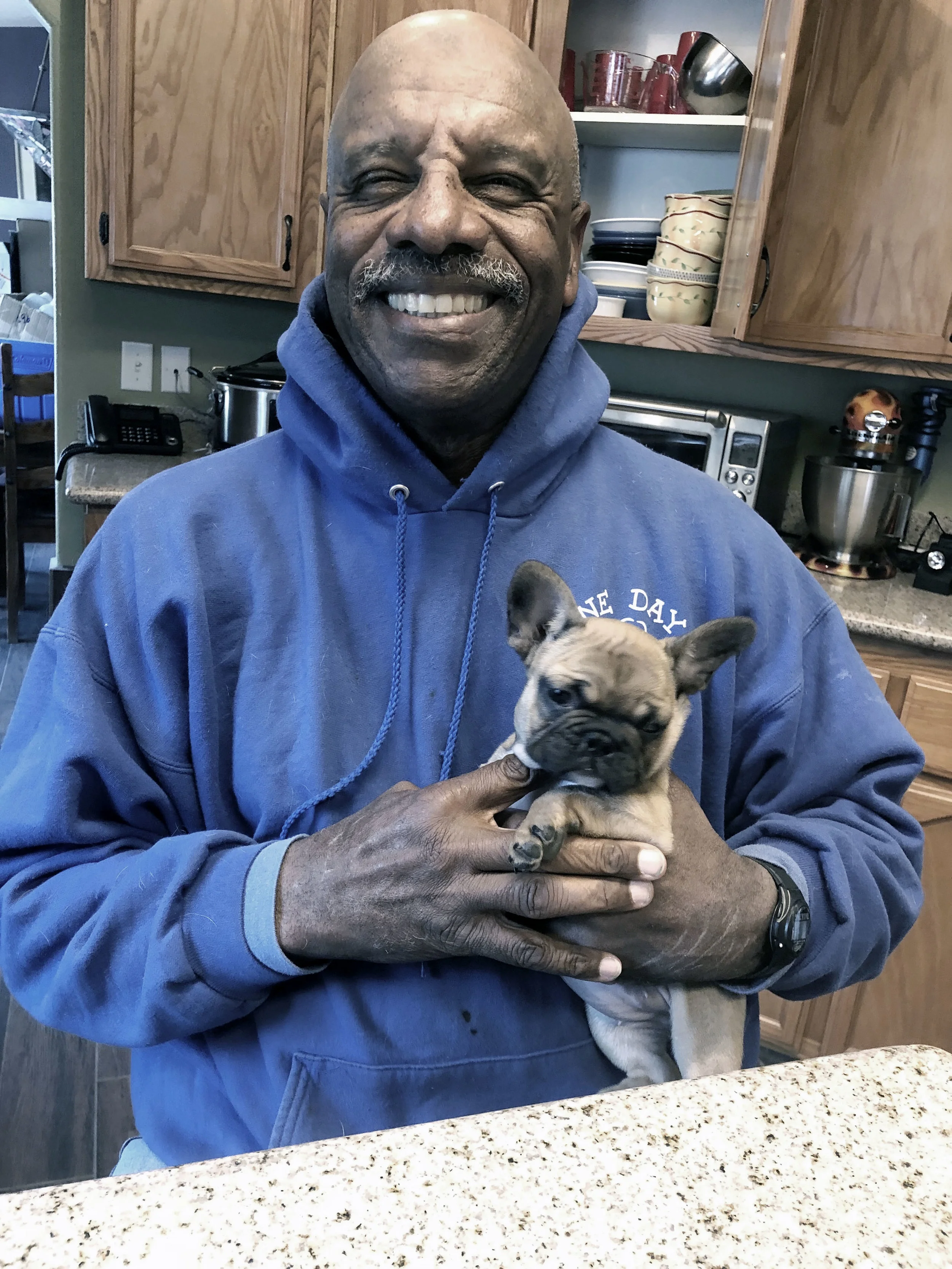 follow me dog training