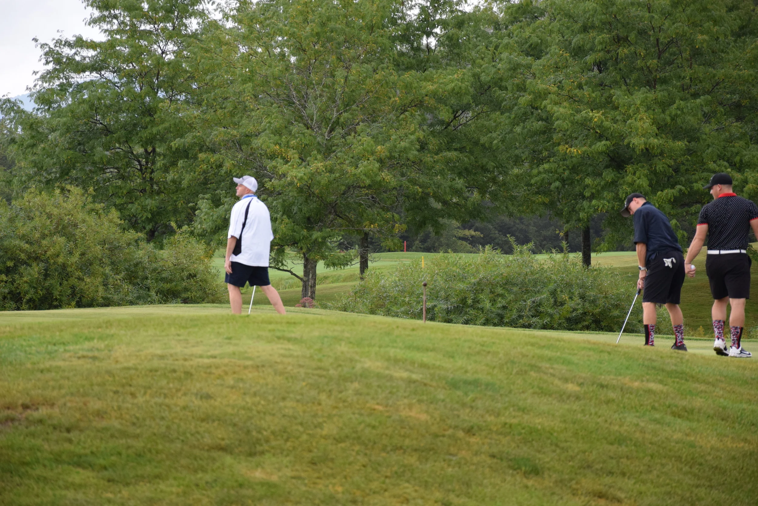 DSC_9261.jpg