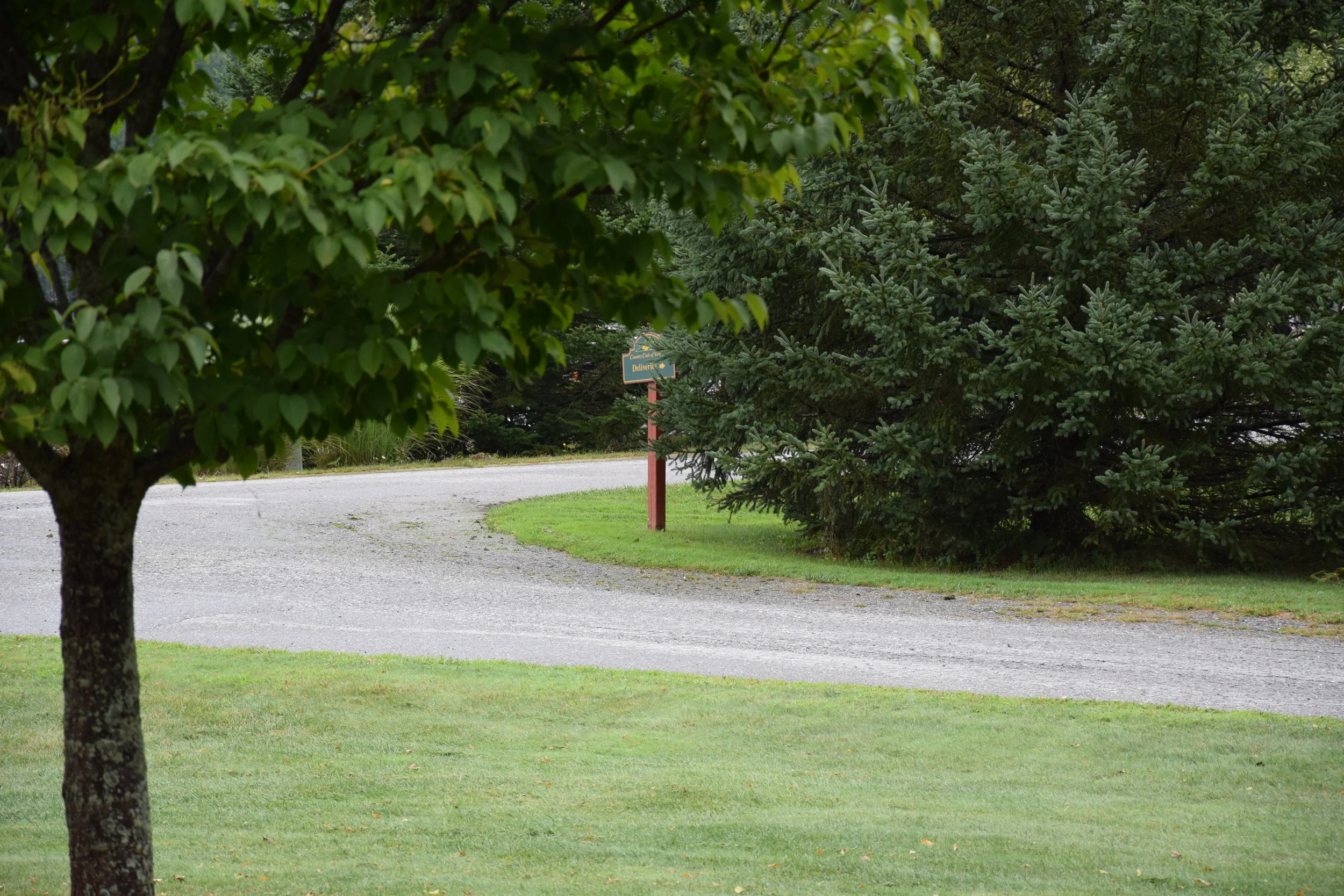 DSC_9314.jpg