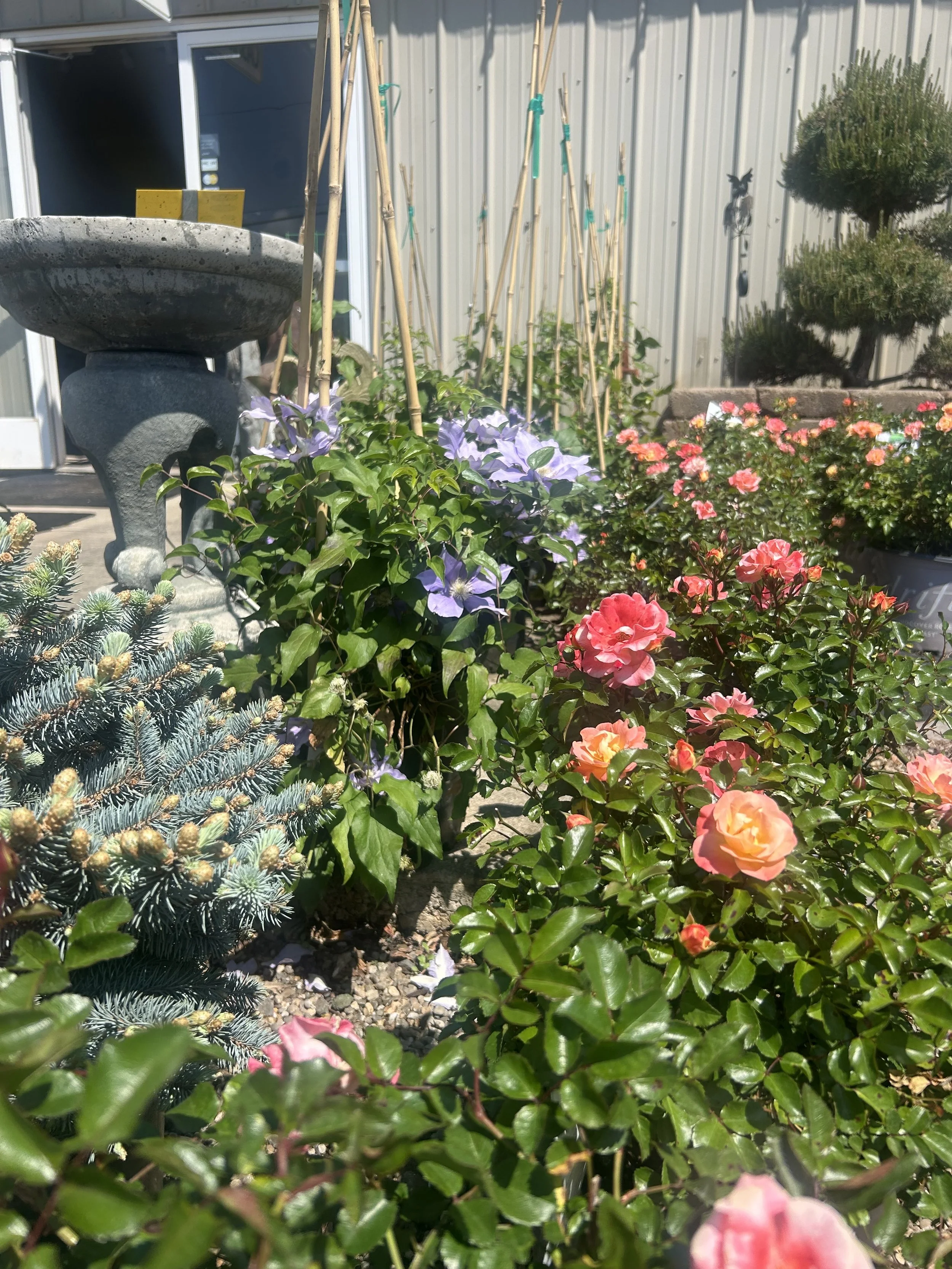 IMG_4290 2.jpeg