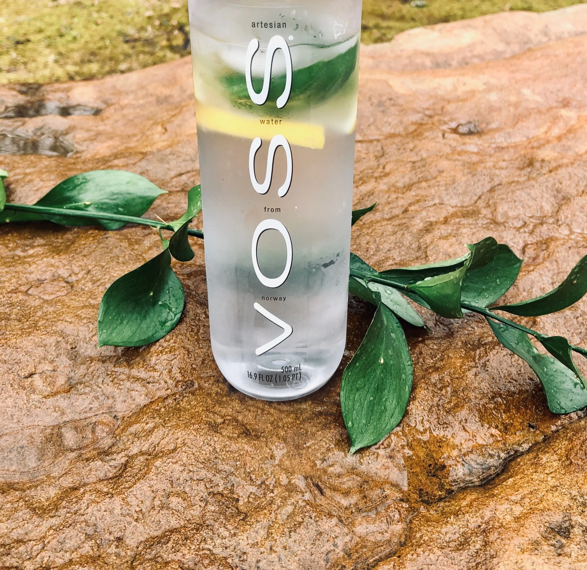 Lemon + Basil Water