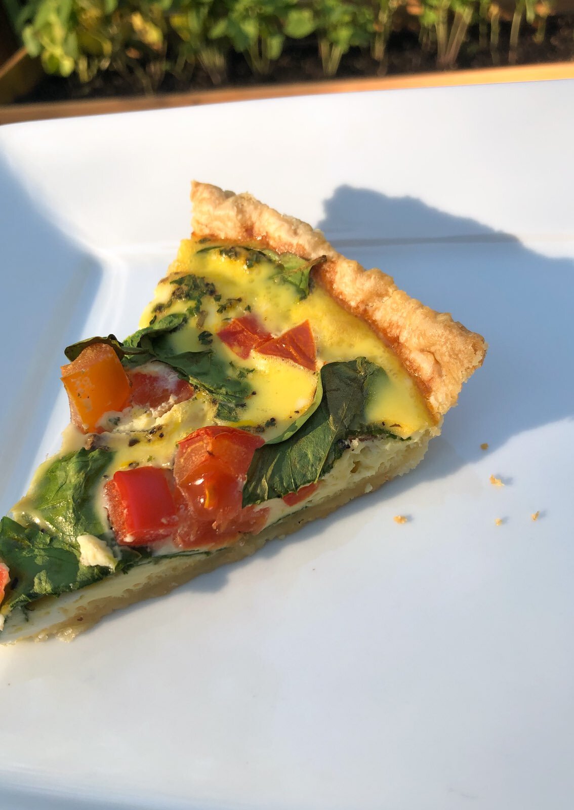 Tofu Quiche