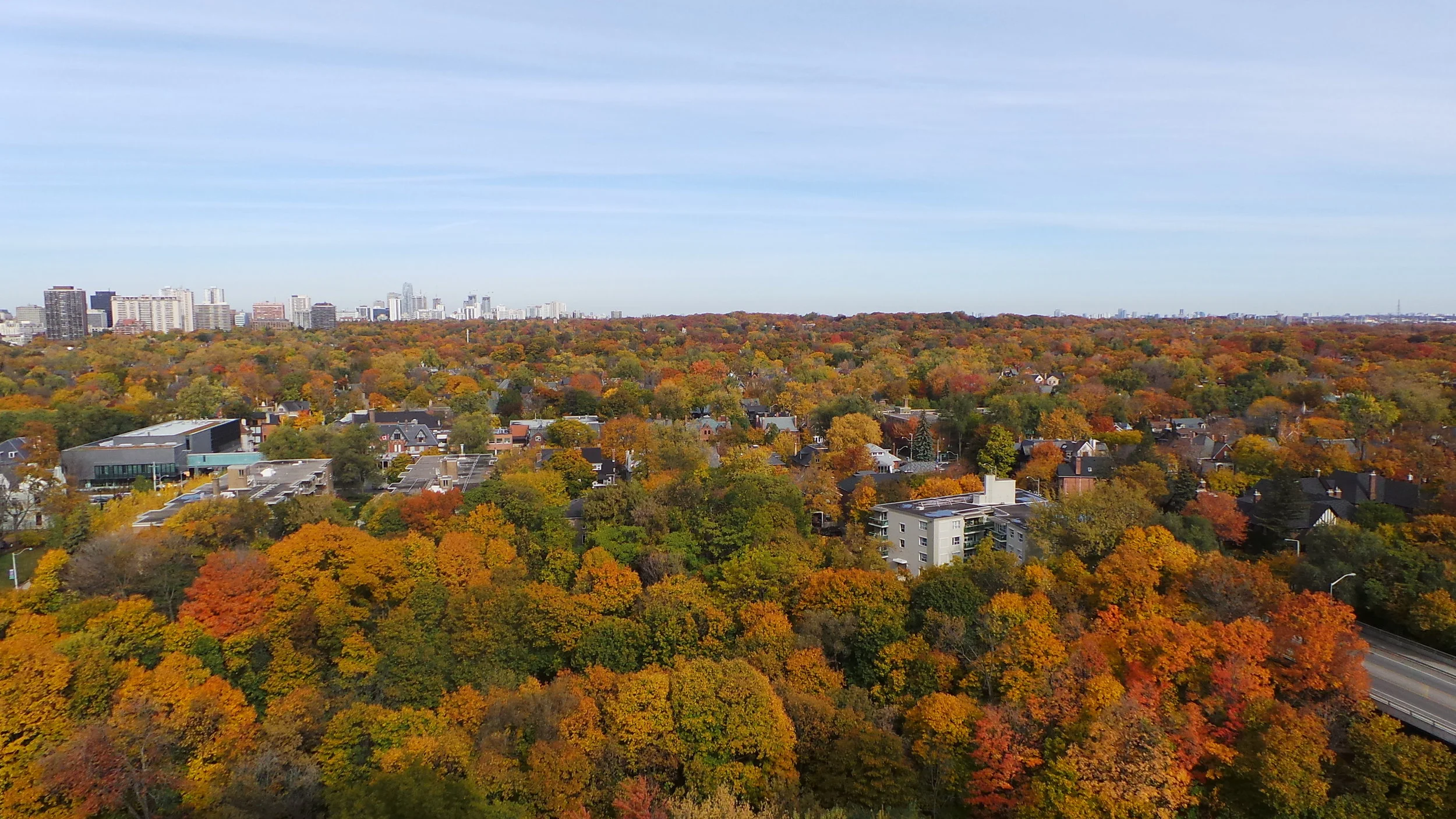 360 Bloor view fall.JPG