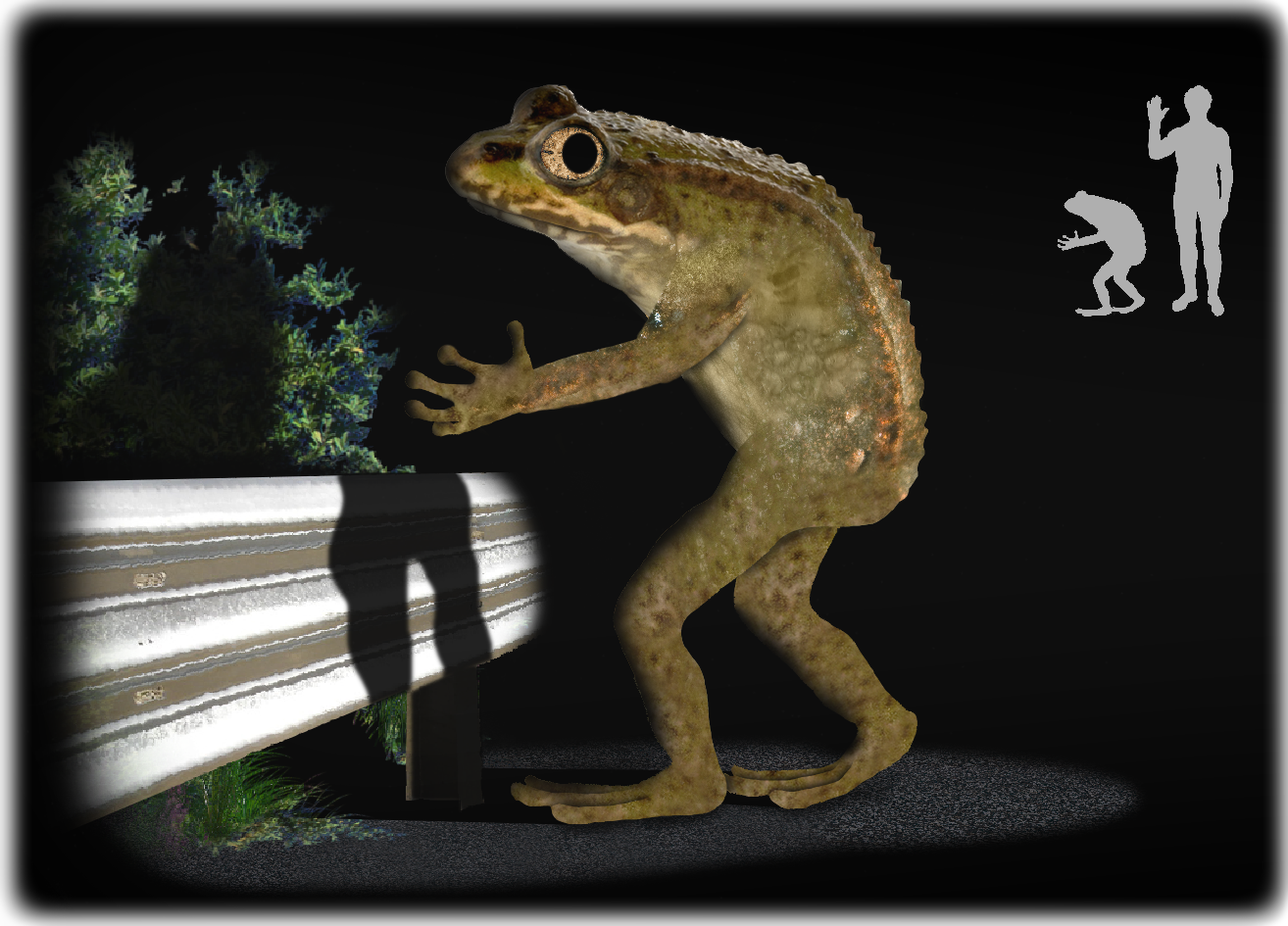 Artist Rednering of the frogman, with size comparison (wikipedia)